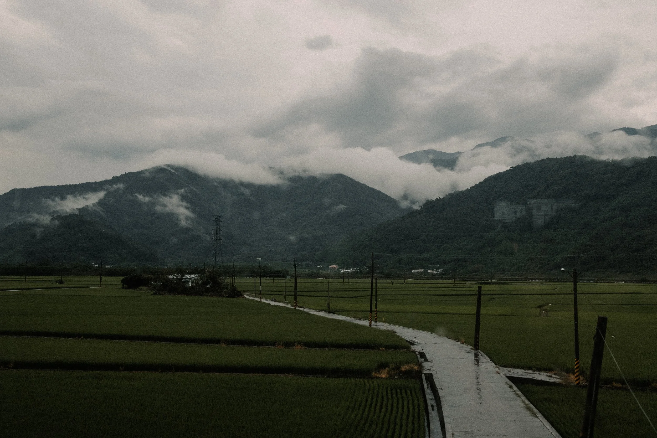 DSCF1406.jpg
