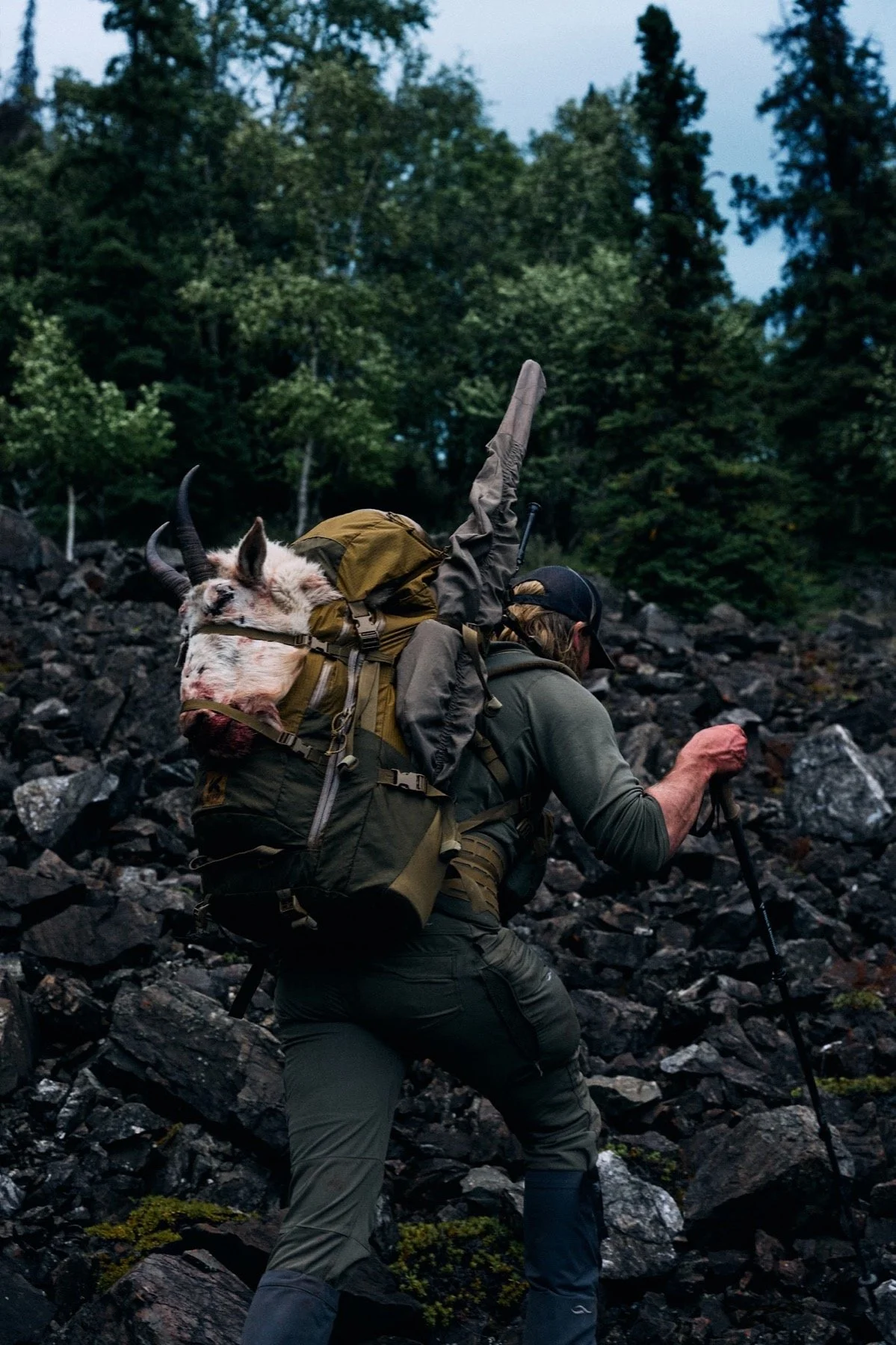 Hunter climbing a talus slope with a mountain goat head and rifle on his pack