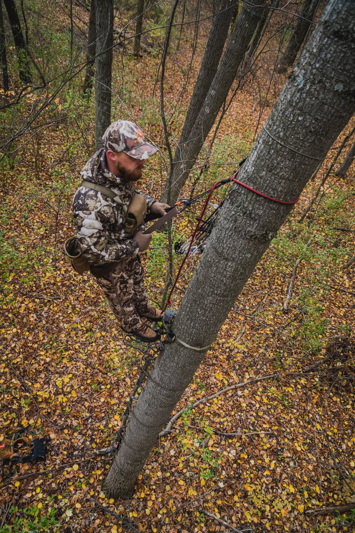 The Ultimate Saddle Hunting Setup for Whitetail