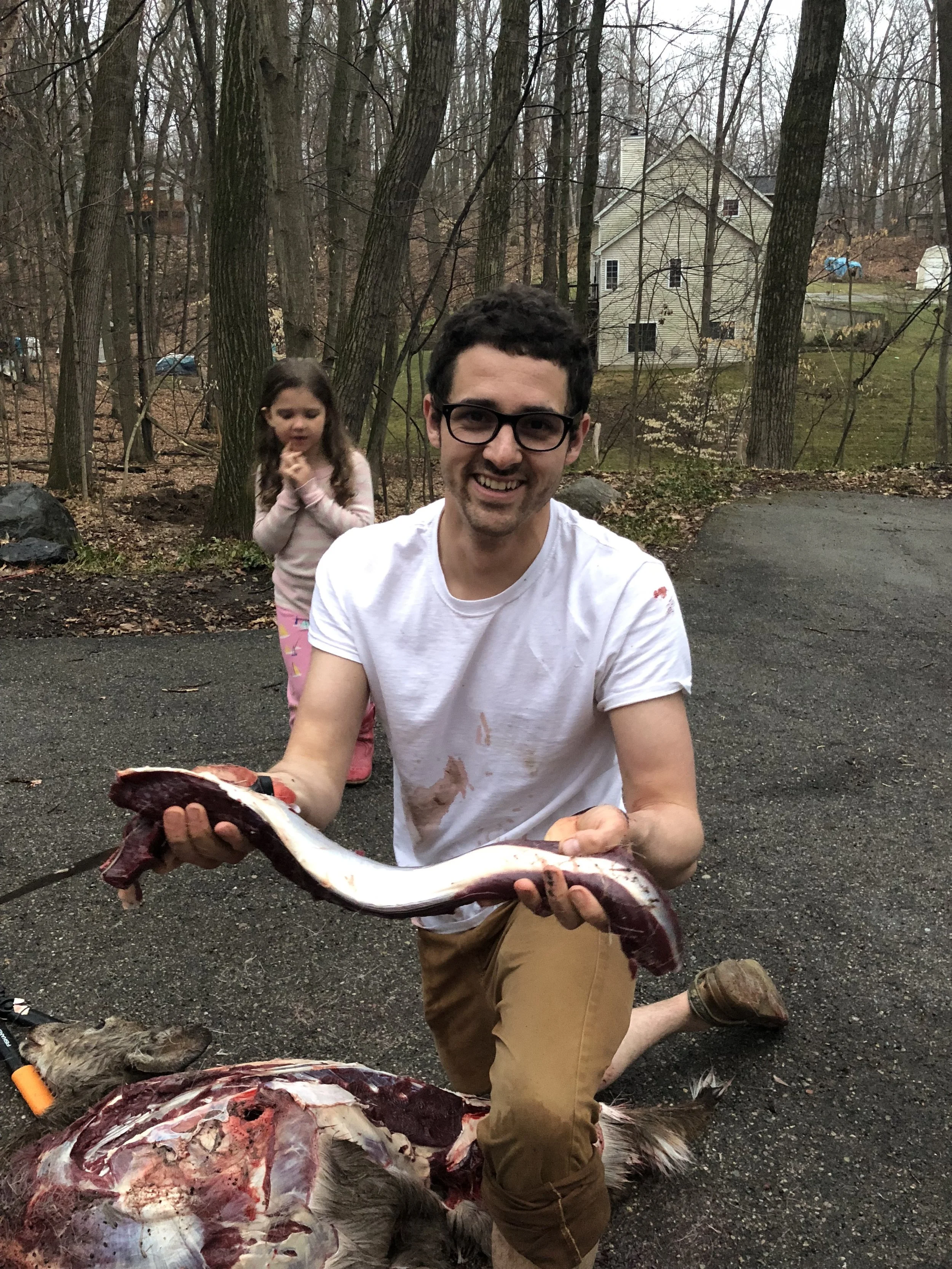 Is It Safe To Eat Roadkill?