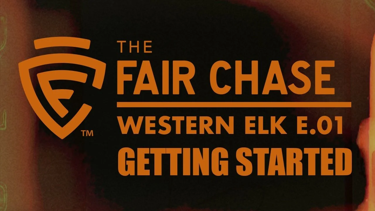 Western Elk Part 1: Getting Started Elk Hunting