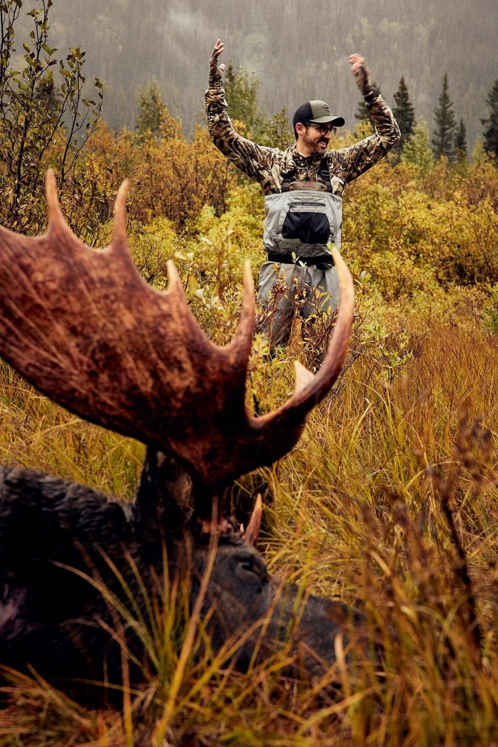 film-moose.jpg