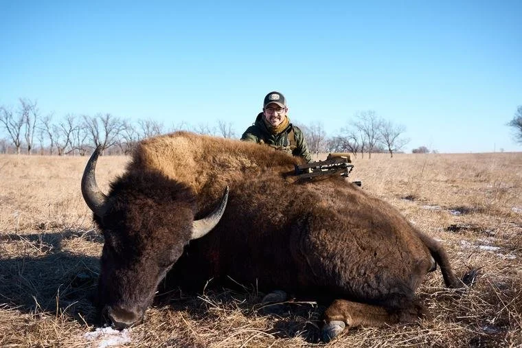 g-bison.jpg