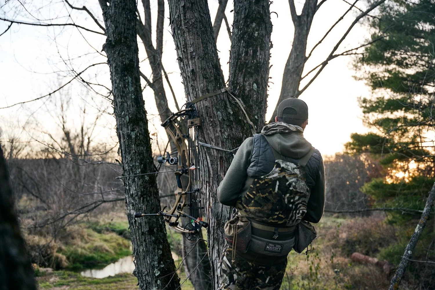 Bowhunter in a tree saddle at dusk, low sun through the pines and a creek below