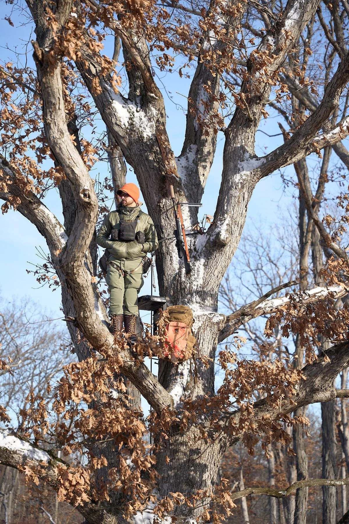 Hunter in an orange beanie in a tree stand among the limbs of a big oak, blue sky behind