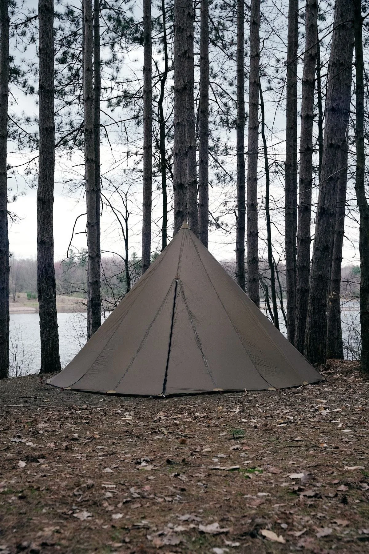 Canvas tipi tent pitched in a stand of pines beside a lake