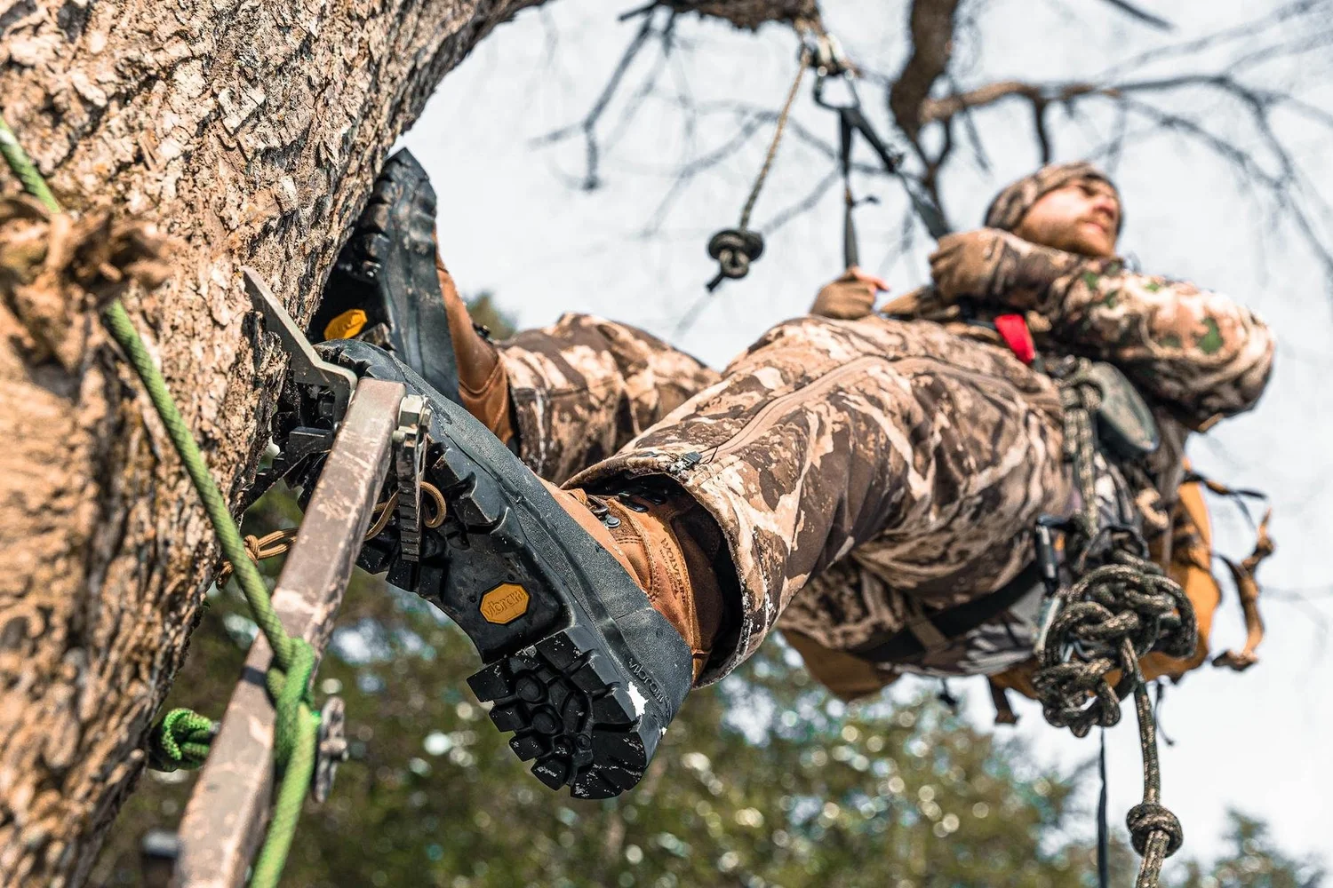 Low angle of a hunter climbing a tree on climbing sticks