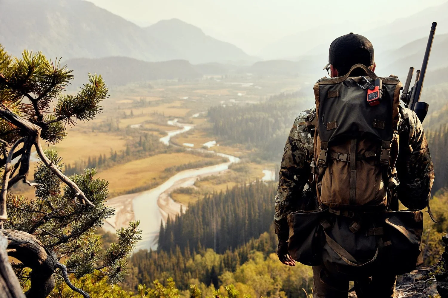 Hunter with a pack and rifle looking over a braided river valley in warm haze, a pine bough at left