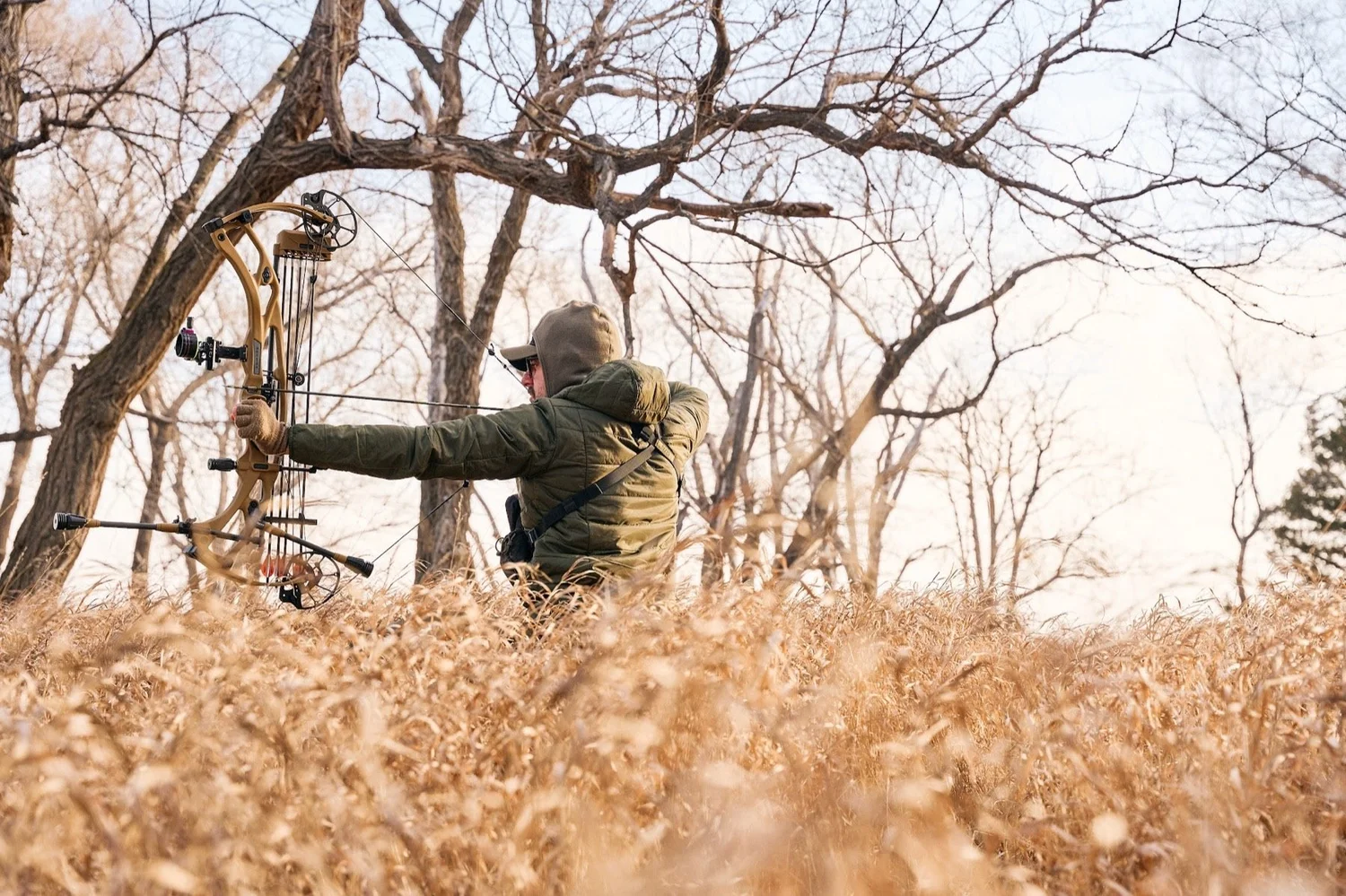 Hunter at full draw in tall golden grass under bare trees