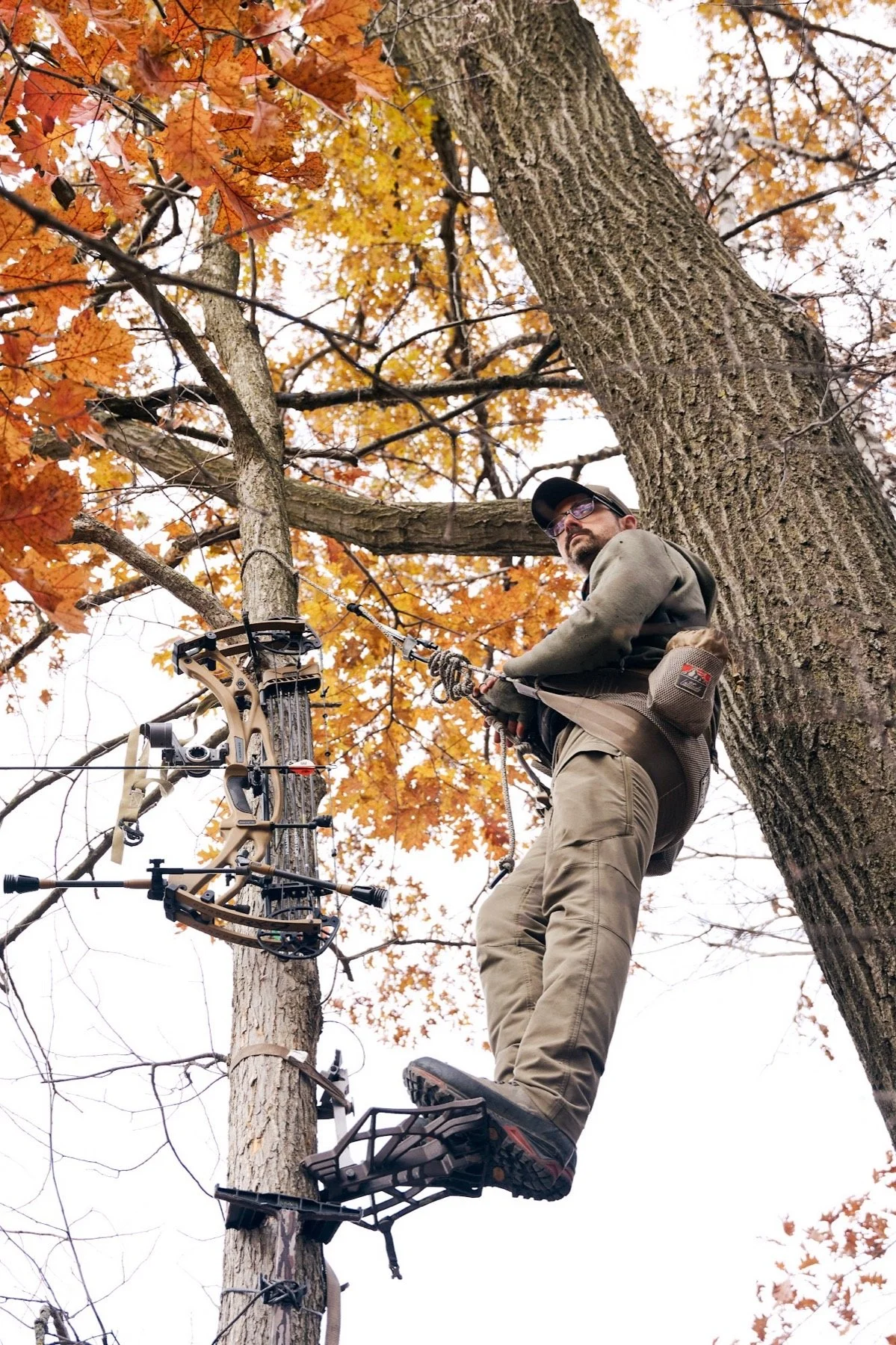 Hunter in a saddle high in a tree with his bow, under an orange oak canopy