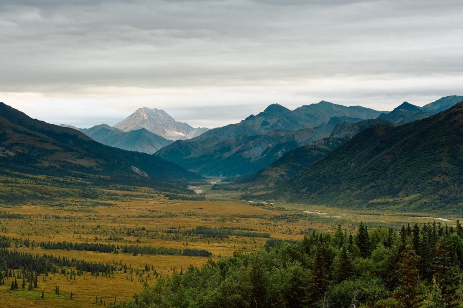 Alaska Range valley in autumn, tundra, spruce and a snow-capped peak