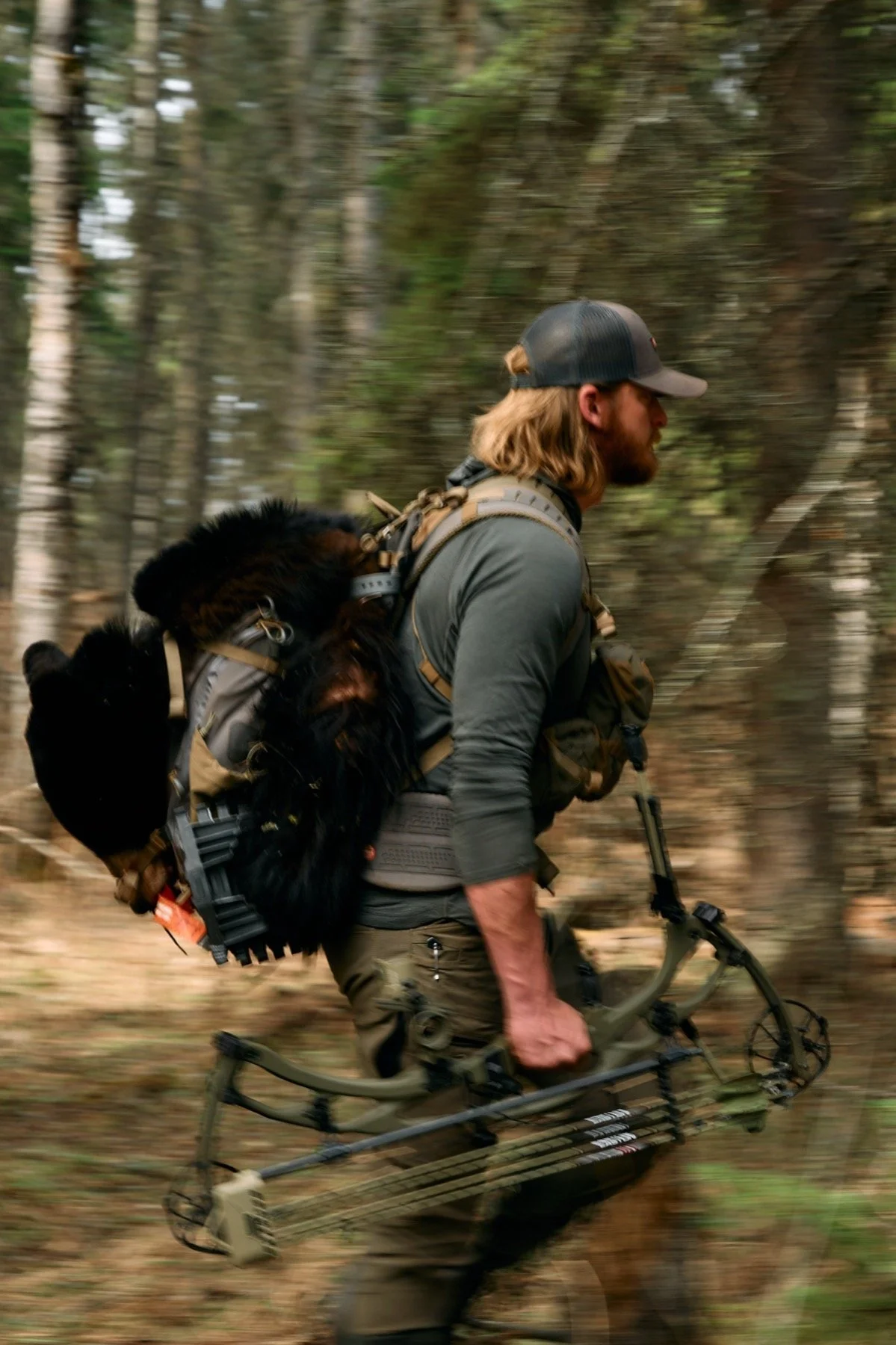 Hunter packing out a black bear, bow in hand