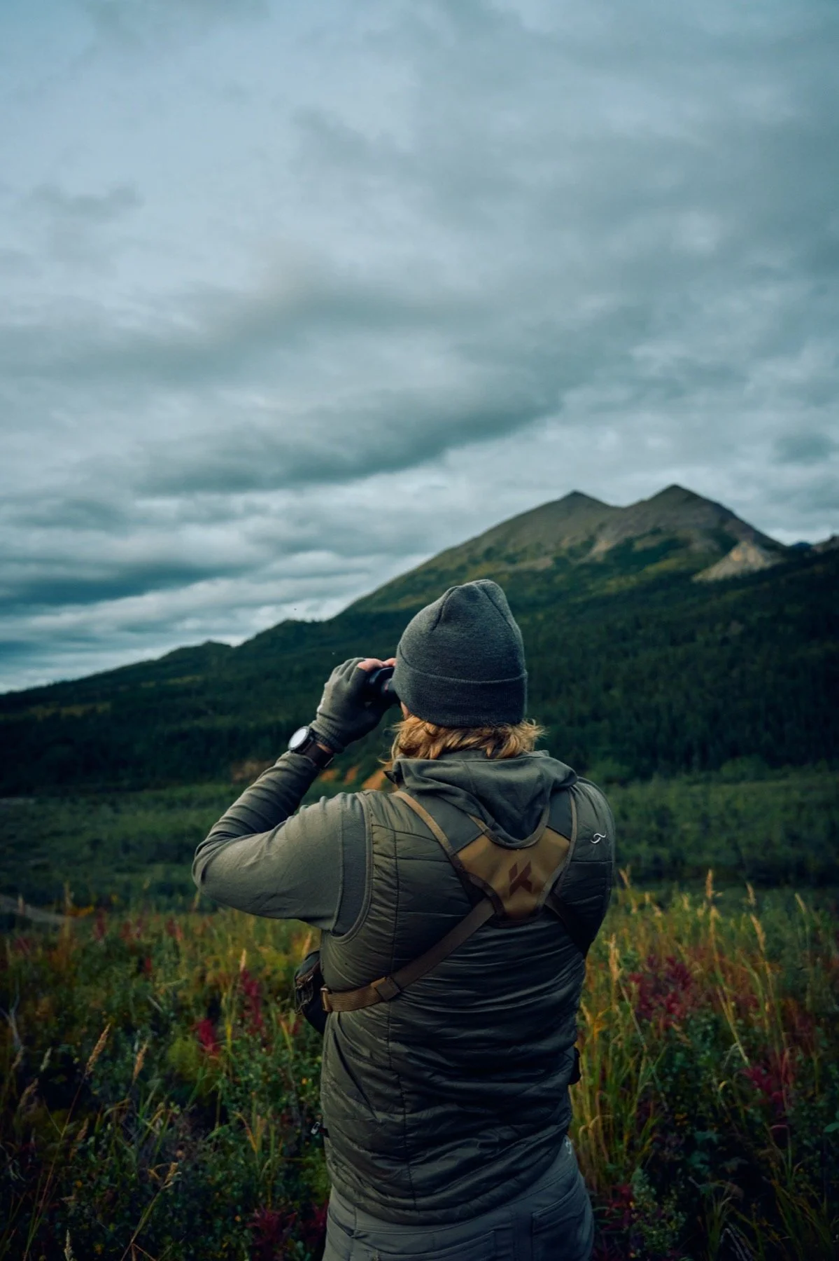 Hunter glassing in fireweed below a mountain peak and dramatic clouds