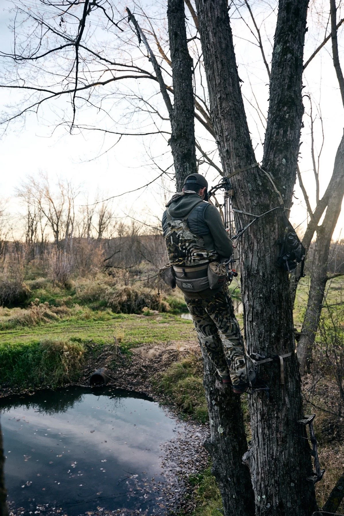 Hunter in a tree saddle on a double trunk above a creek pool at dusk