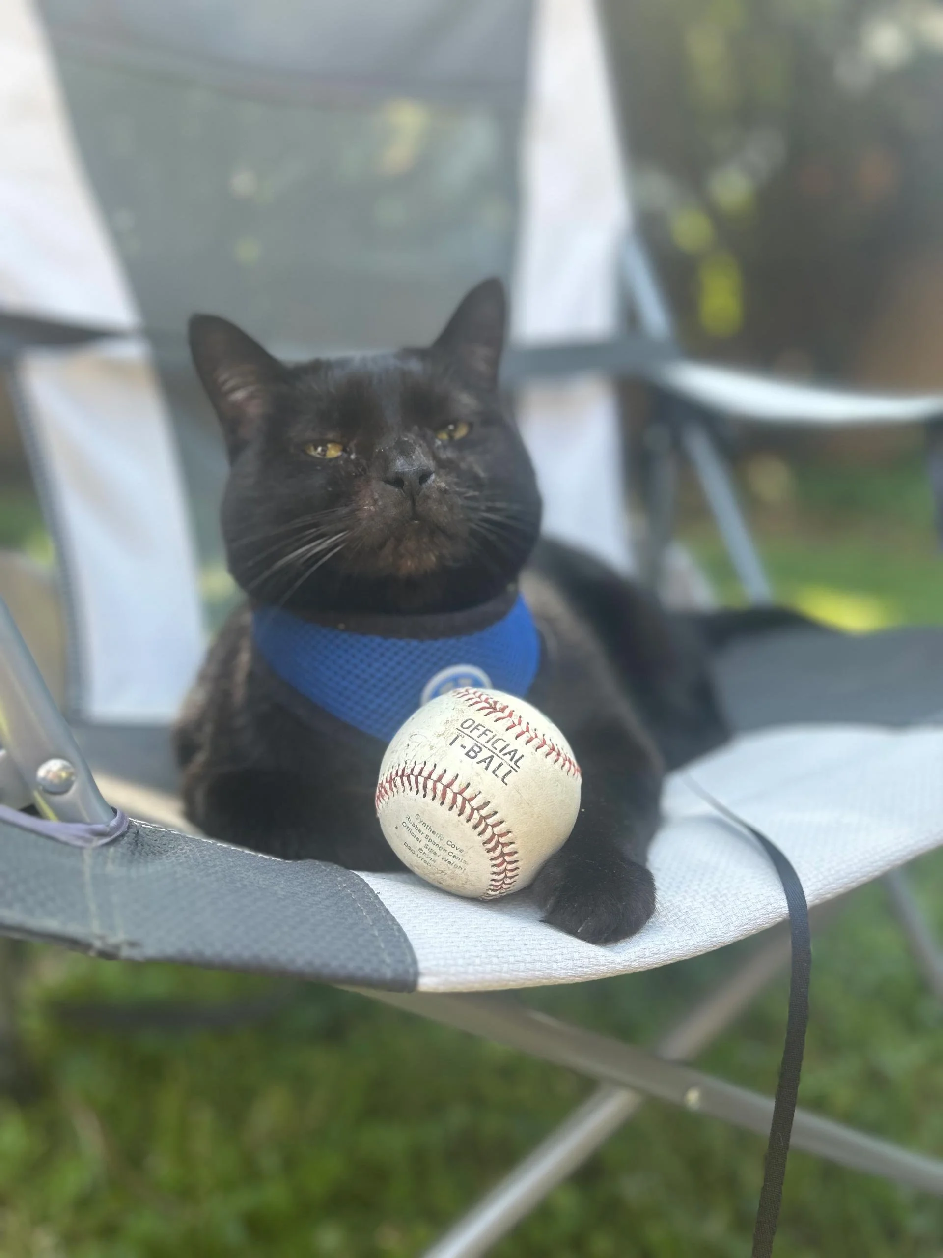 Hamilton-with-his-ball.jpg