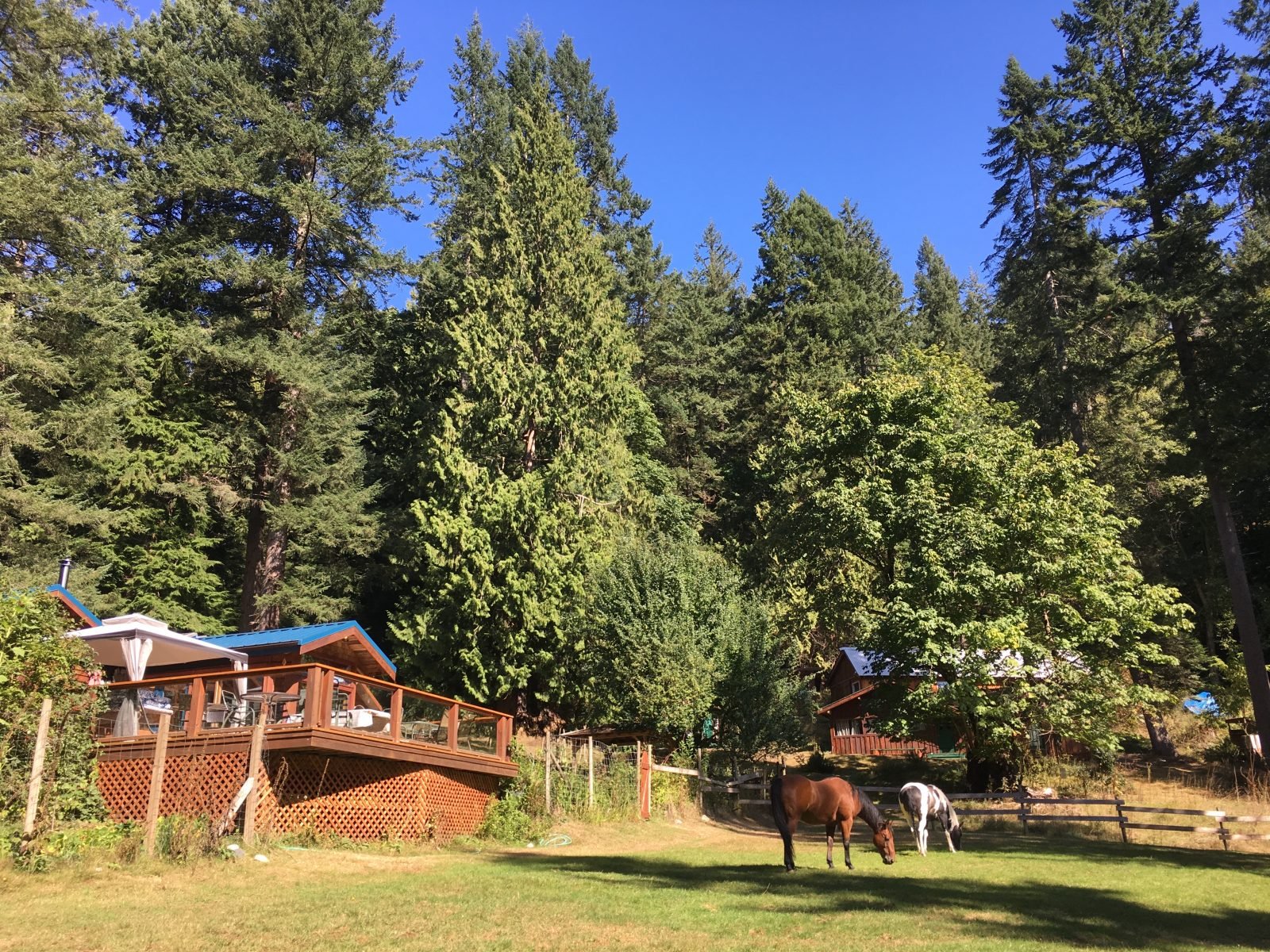 Xenia Retreat Property Bowen Island.jpeg