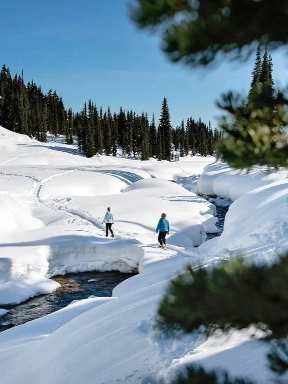 Whistler+Retreat+Snowshoeing+Adventure.jpg