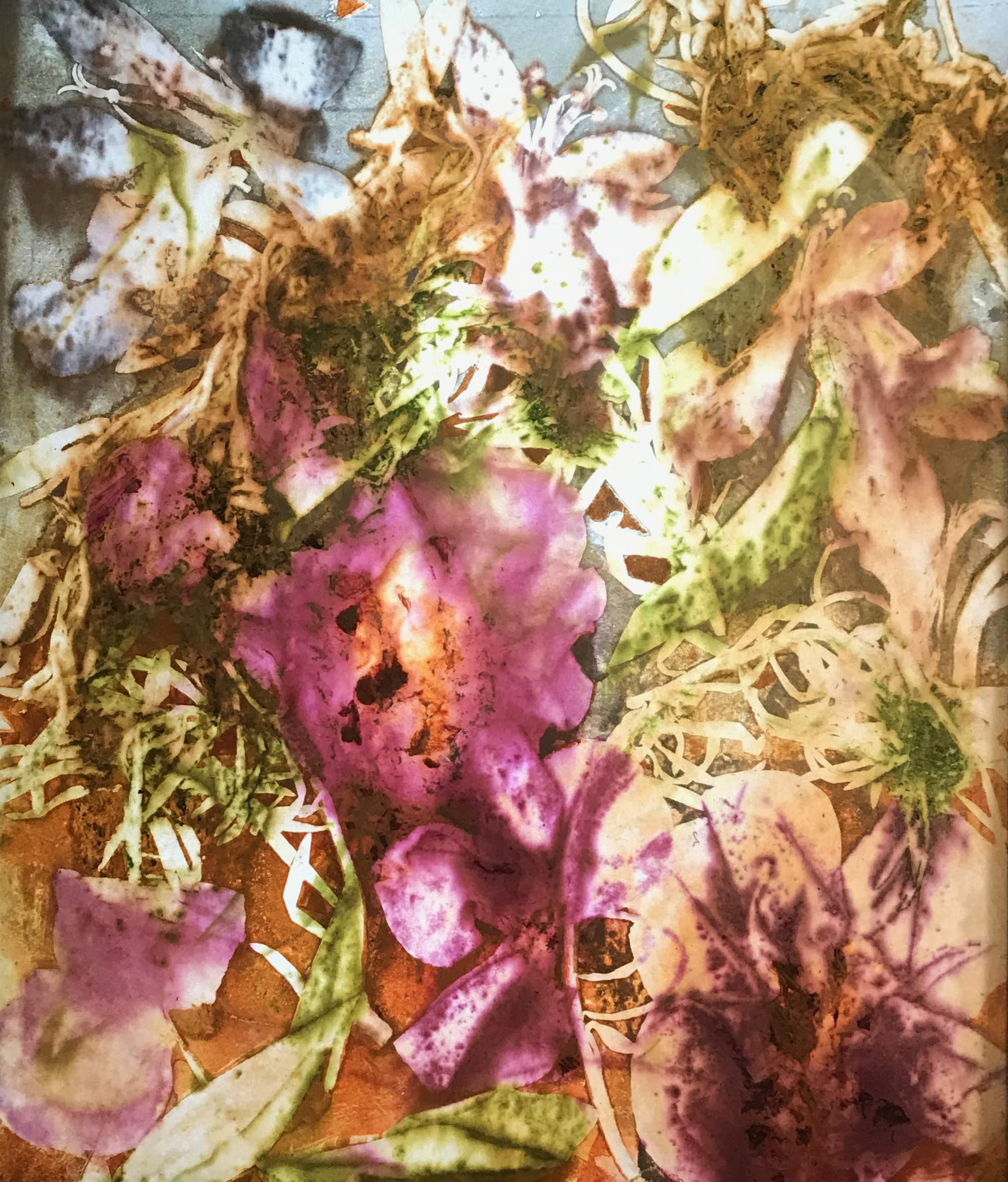 Illuminated Botanical Prints