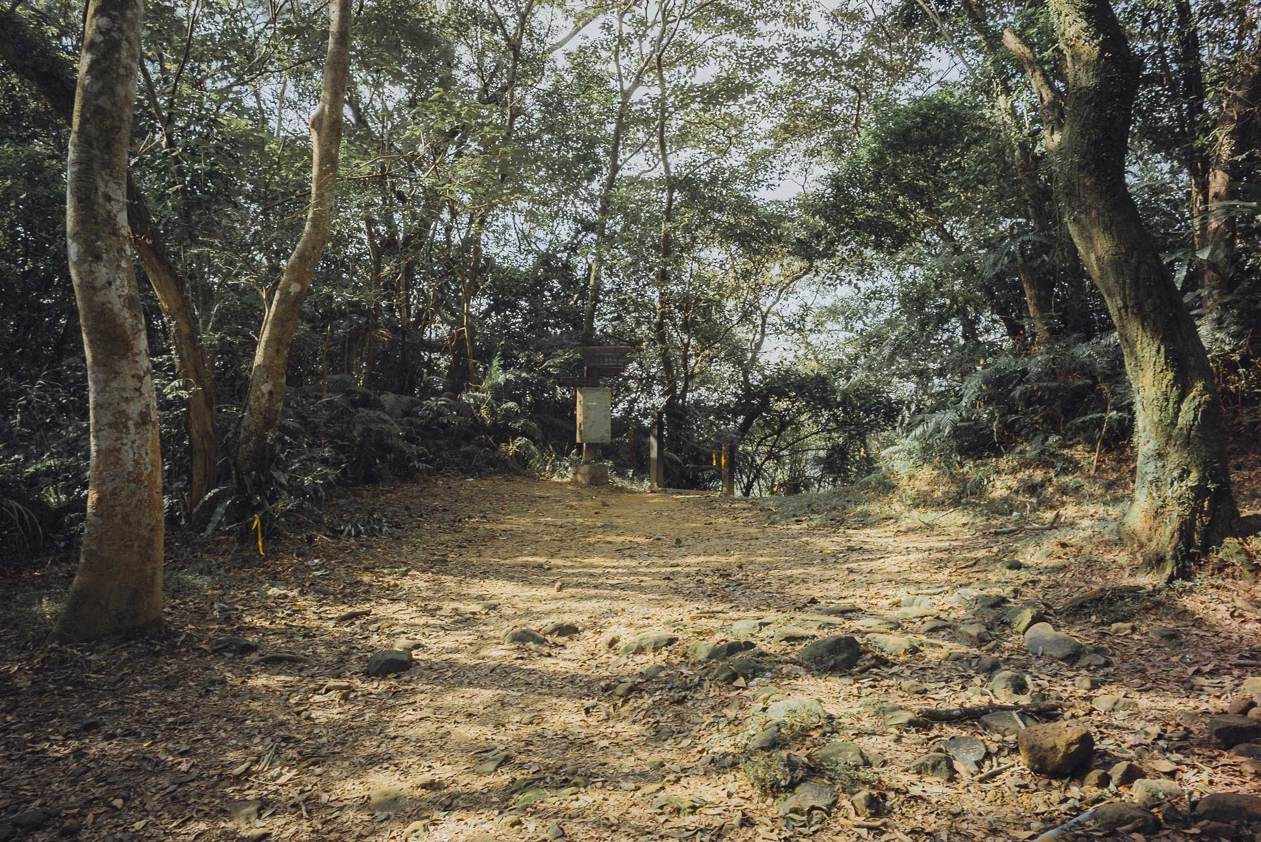 L1004932.jpg