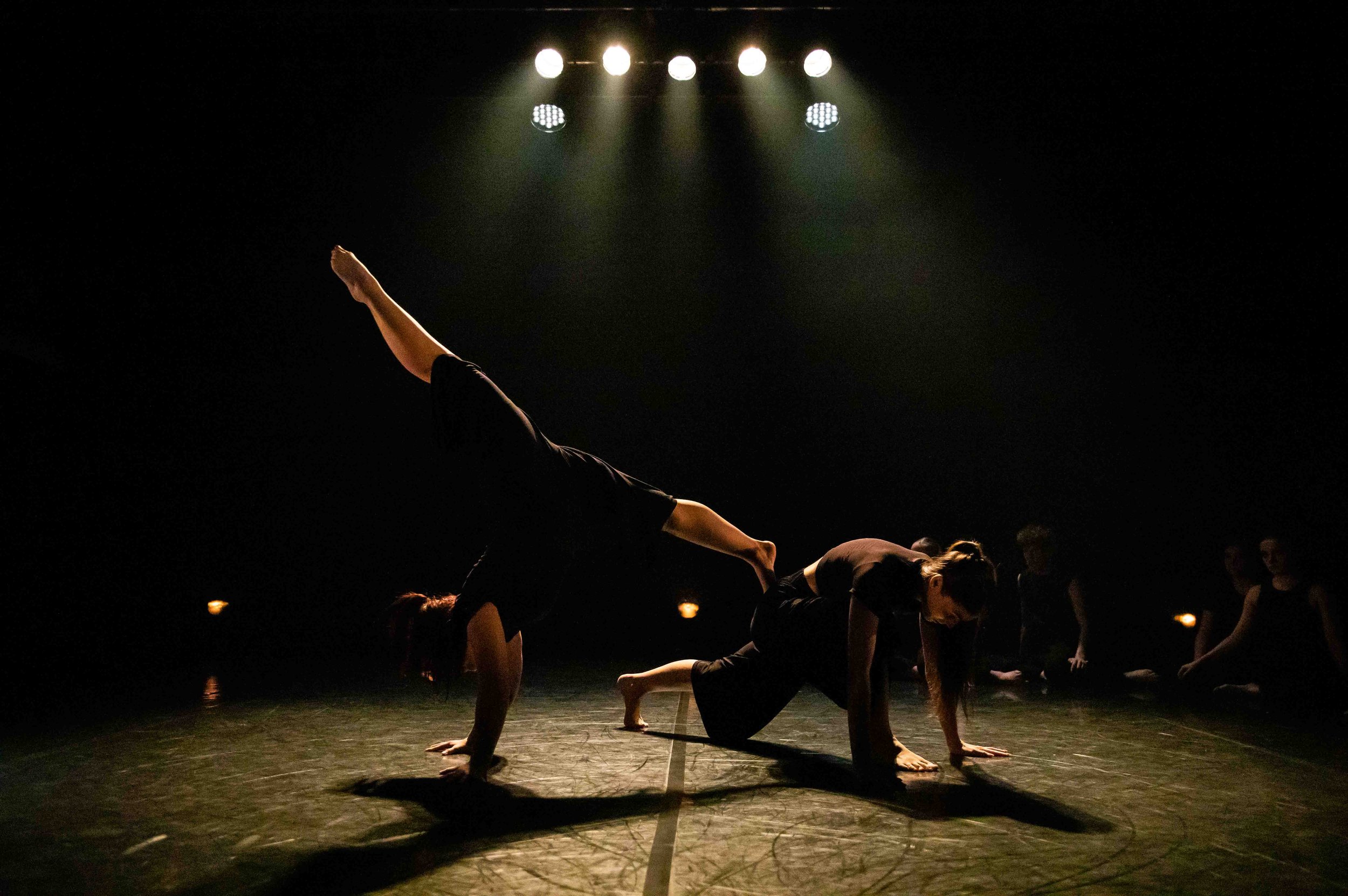 FDC In Motion-195.jpg