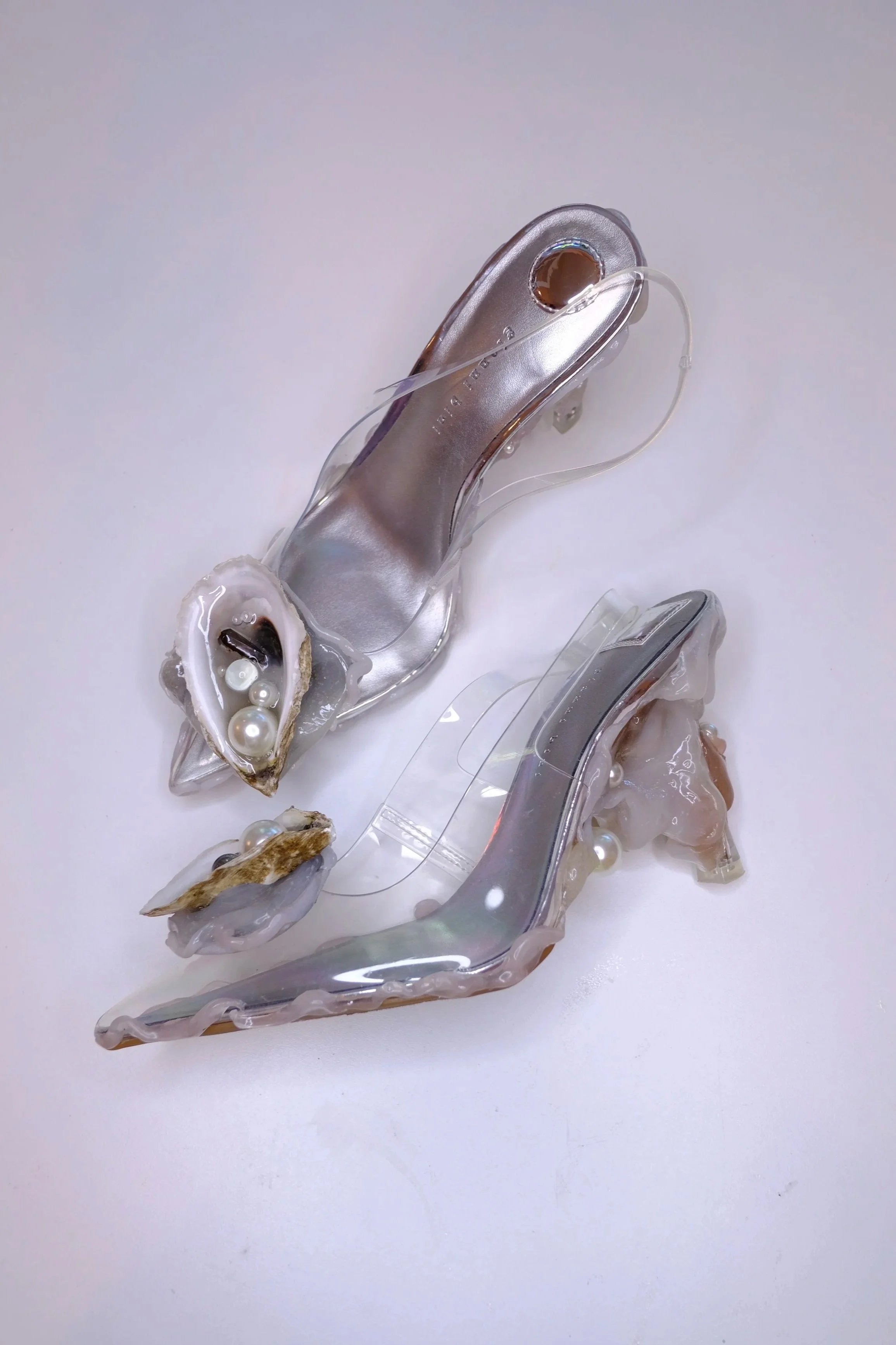 DSCF0498.jpg