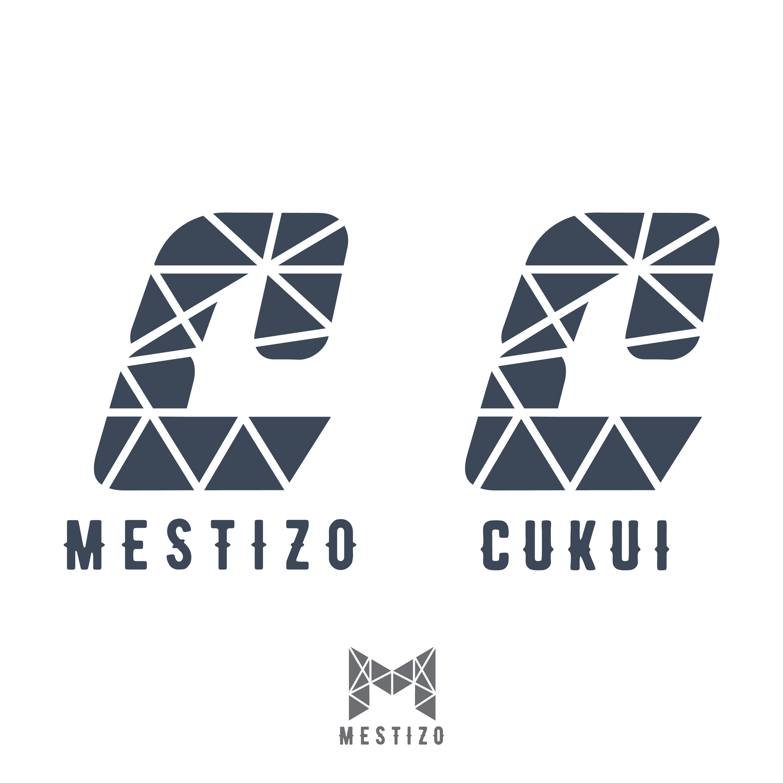 MESTIZO x CUKUI DESIGN 2-01.png