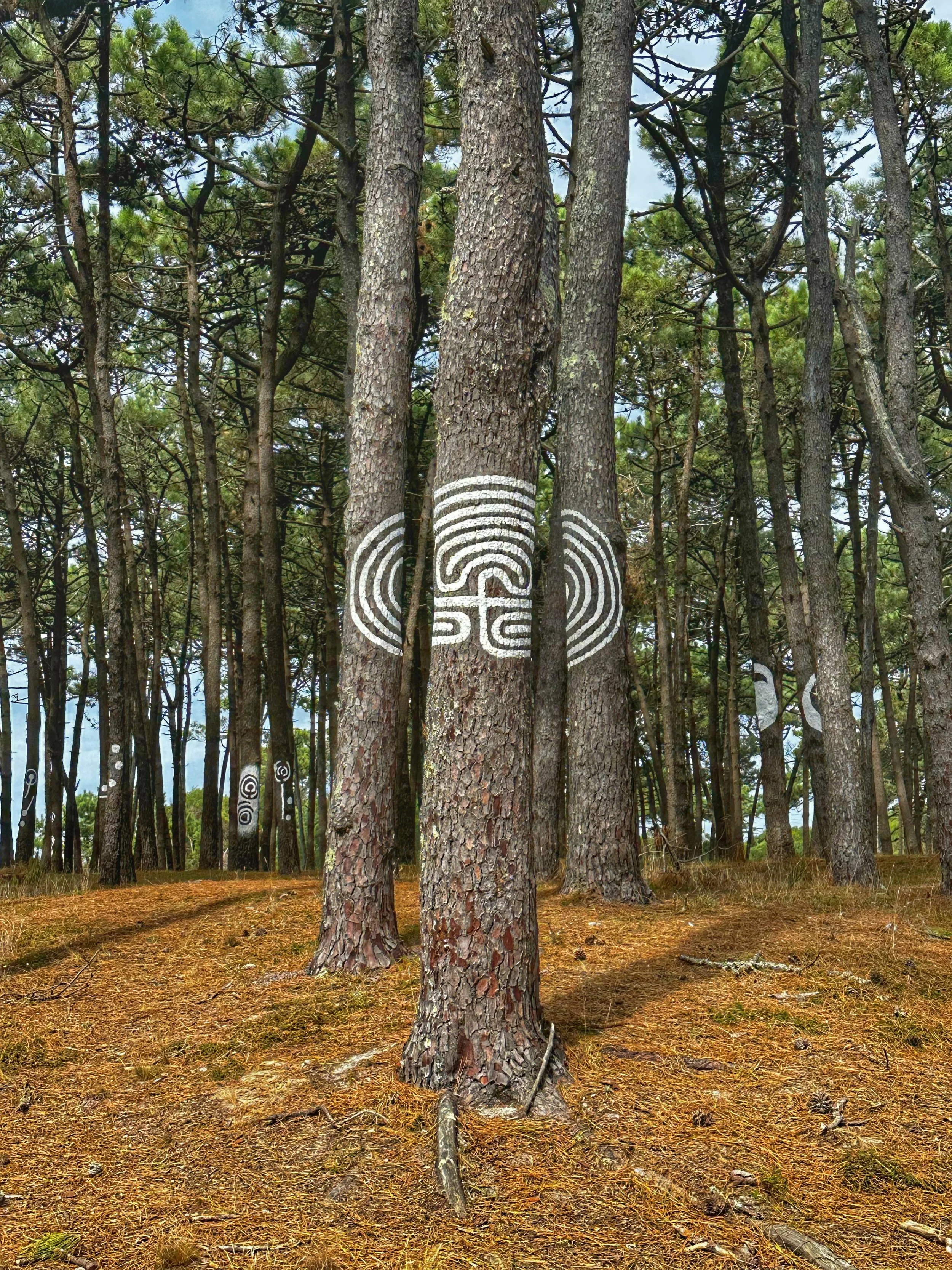 My Answer to the $64,000 Question: "Are You Safe?"