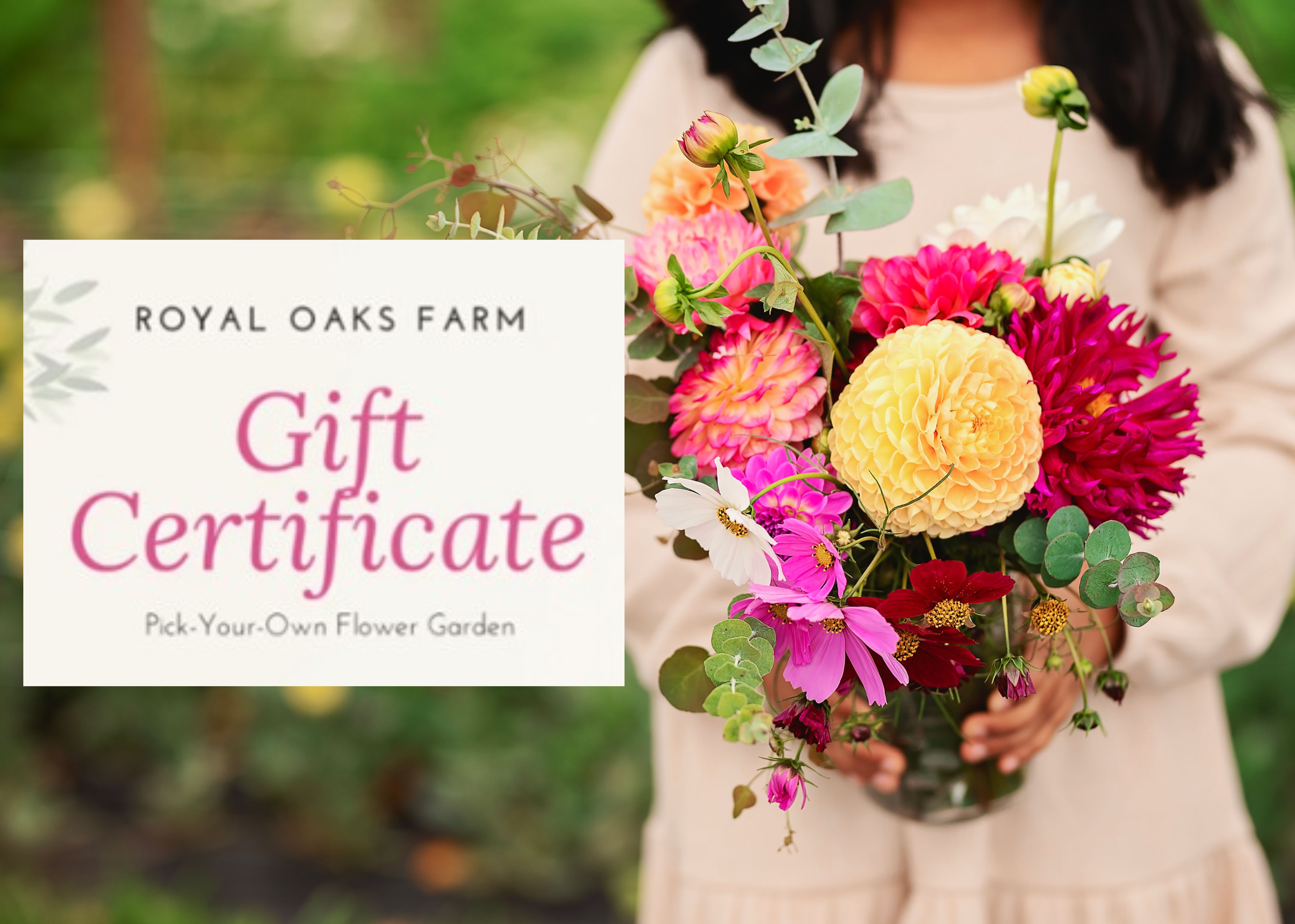 Gift Certificate: Pick-Your-Own JAR