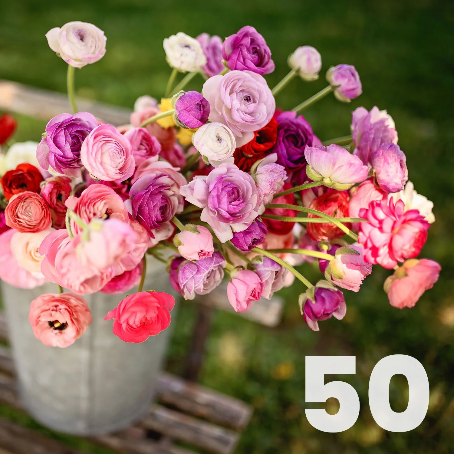 50 U-Pick Stems