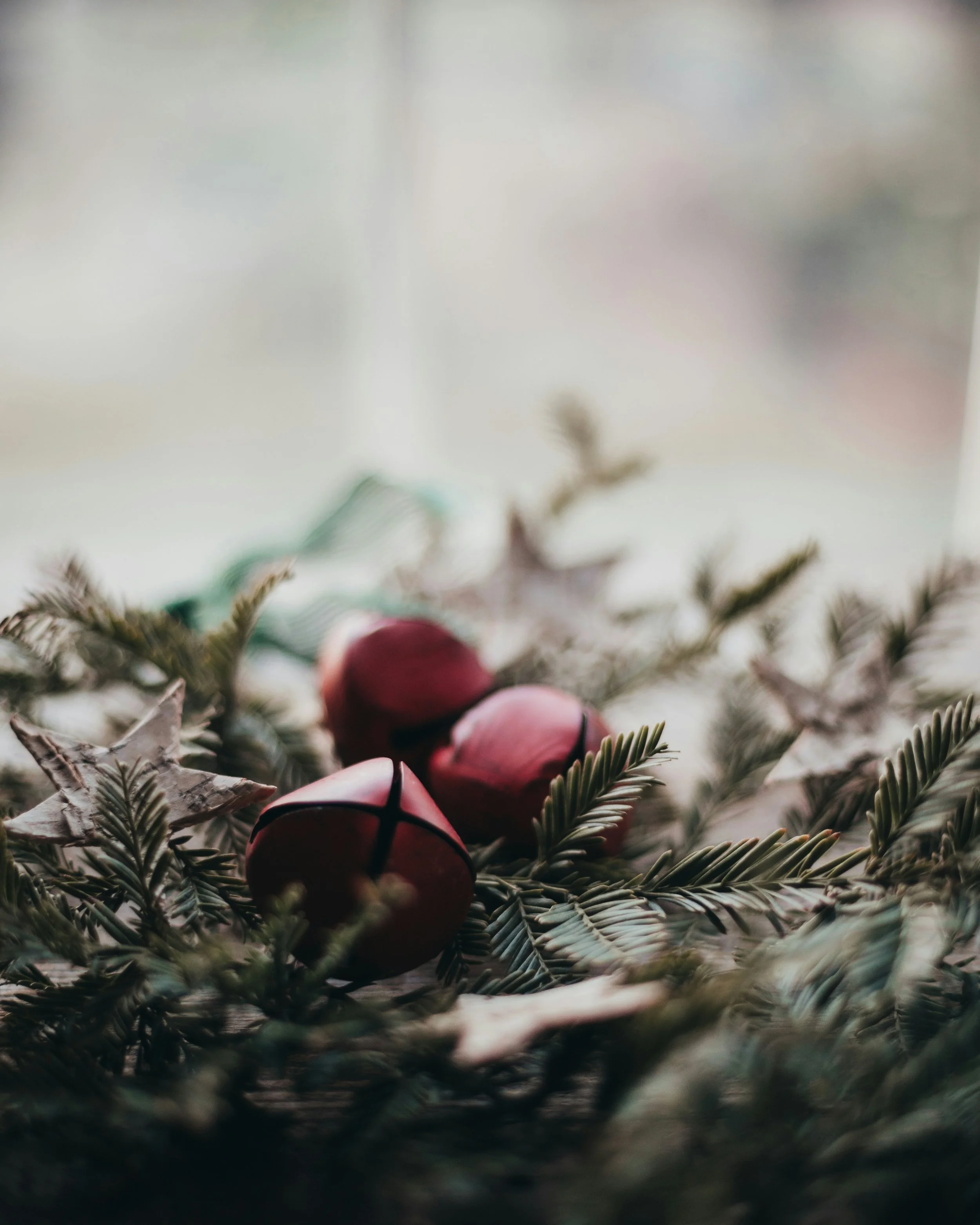 sixteen-miles-out-CgQrrpErfG0-unsplash.jpg (Copy)