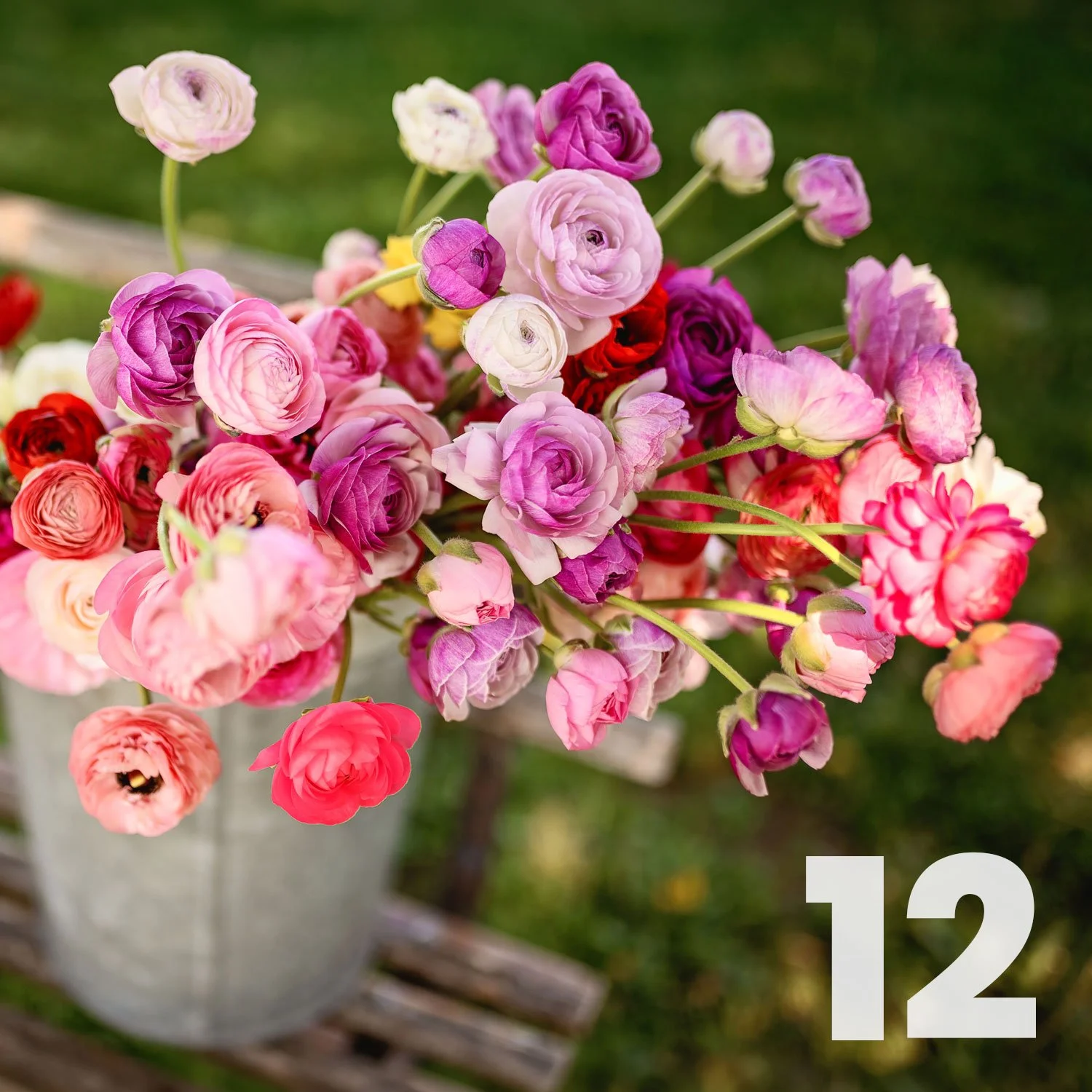 12 U-Pick Stems