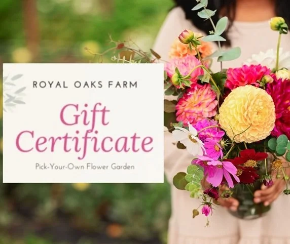 Gift Certificate: Grab-n-Go Bouquets