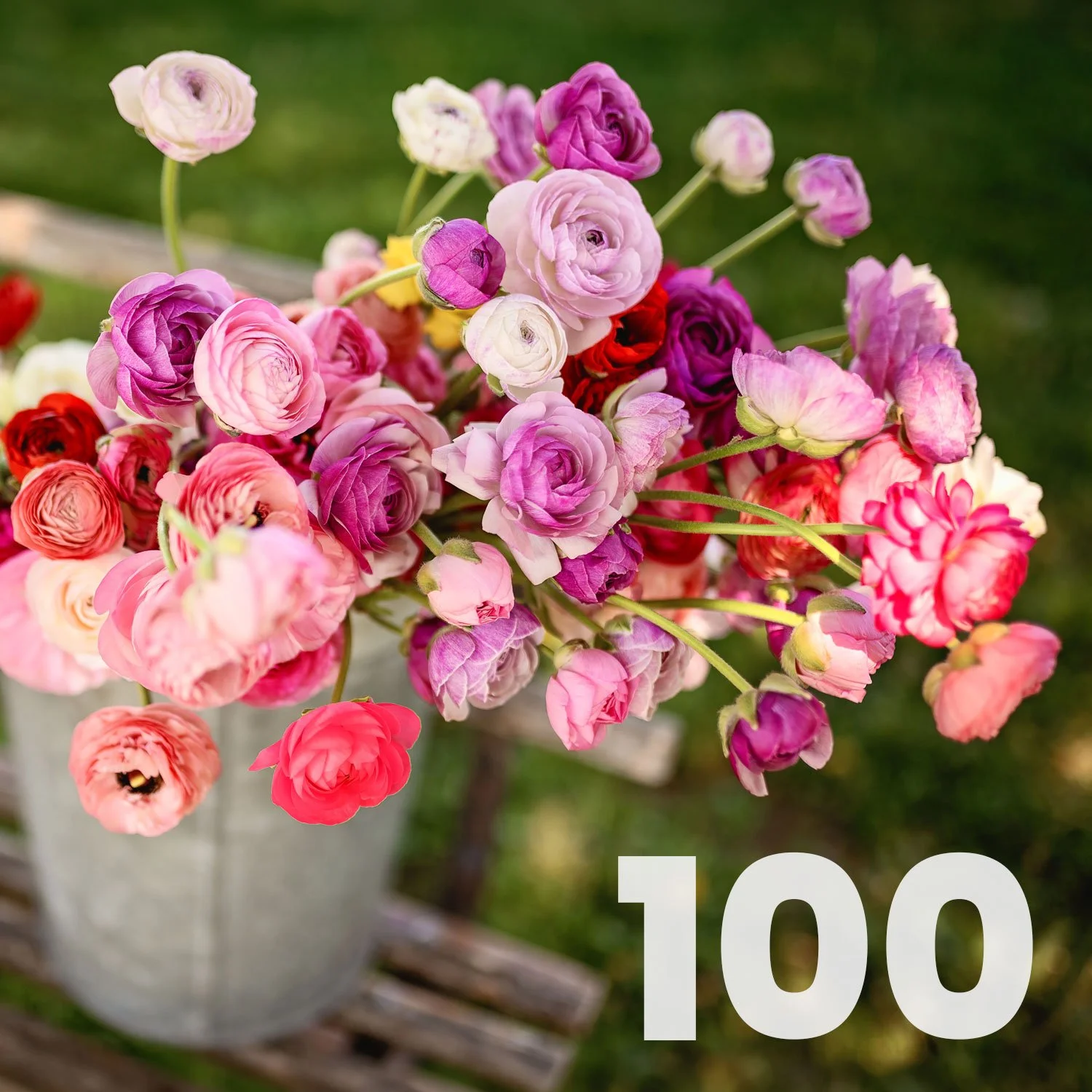 100 U-Pick Stems