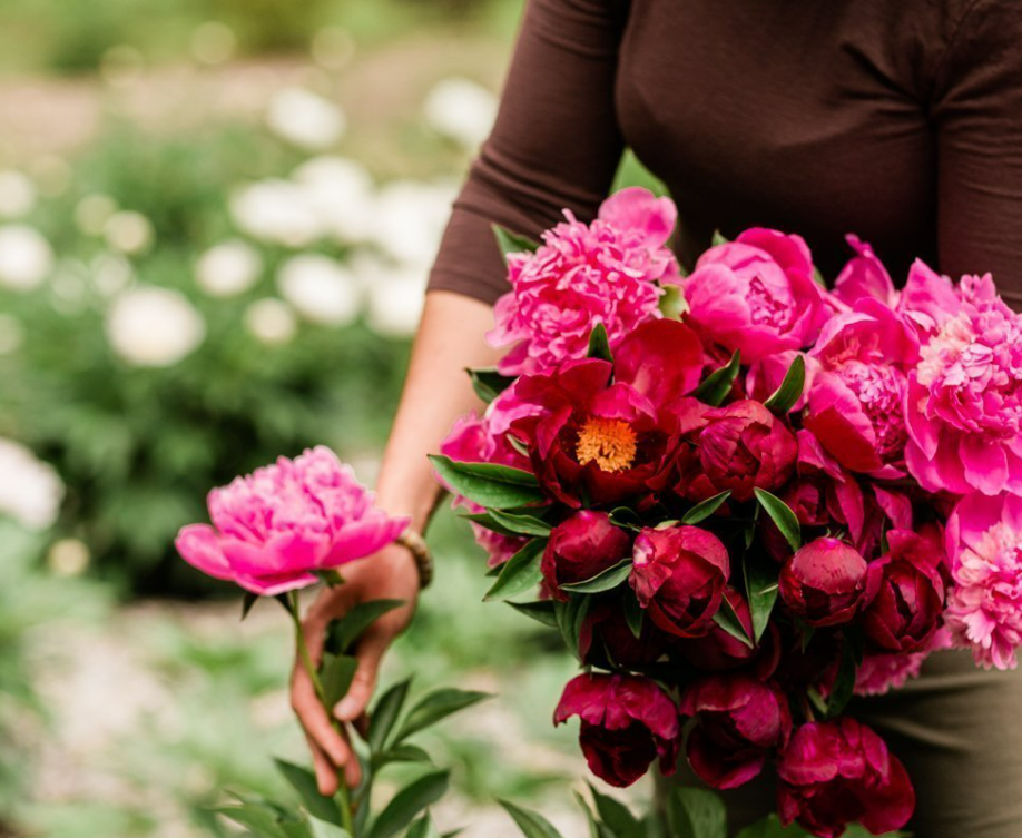 Screenshot 2024-11-17 190057.png