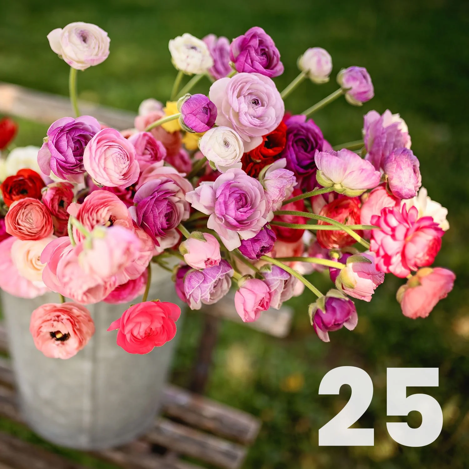 Ranunculus-25.jpg