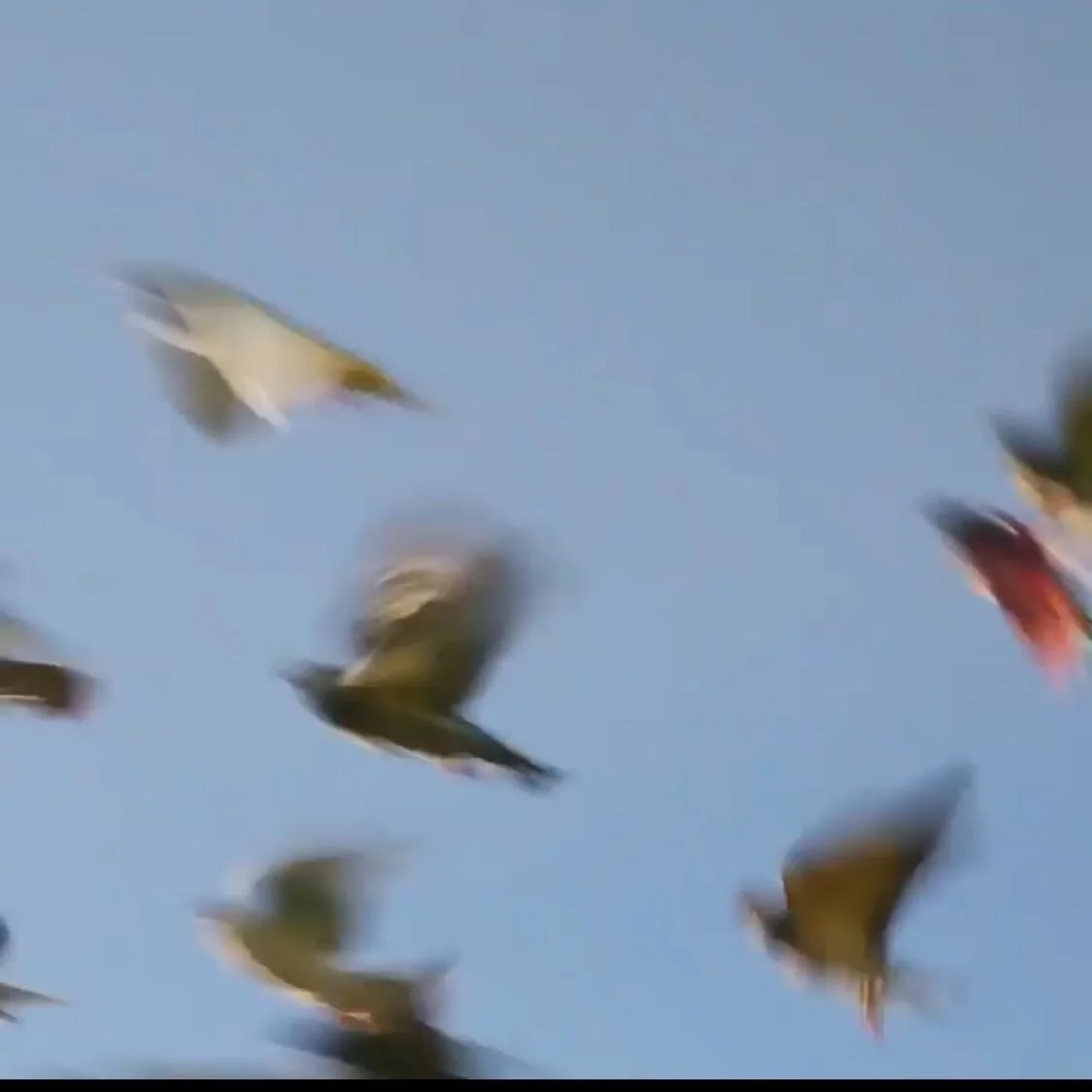 On to the next, into the sky. WE fly. Welcome to Civic. ☺️
Generosity breeds generosity. Community is powerful. Self-Care allows us to care for others.