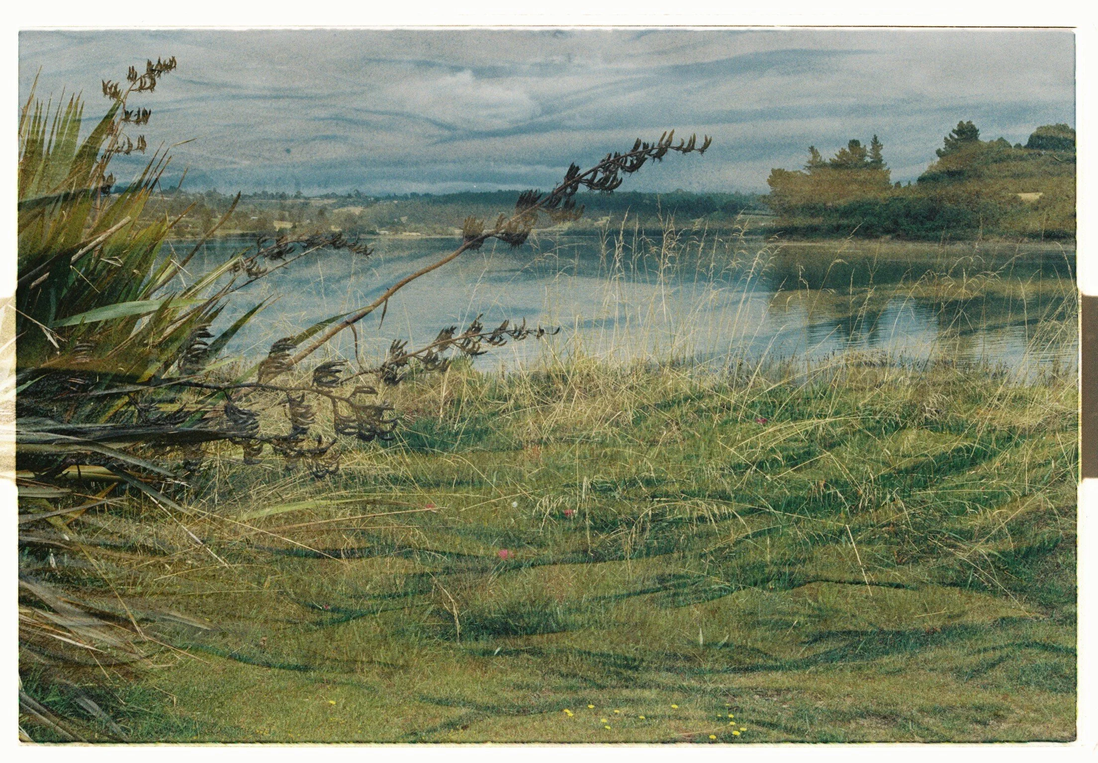 Double Exposure, Mapua, NZ