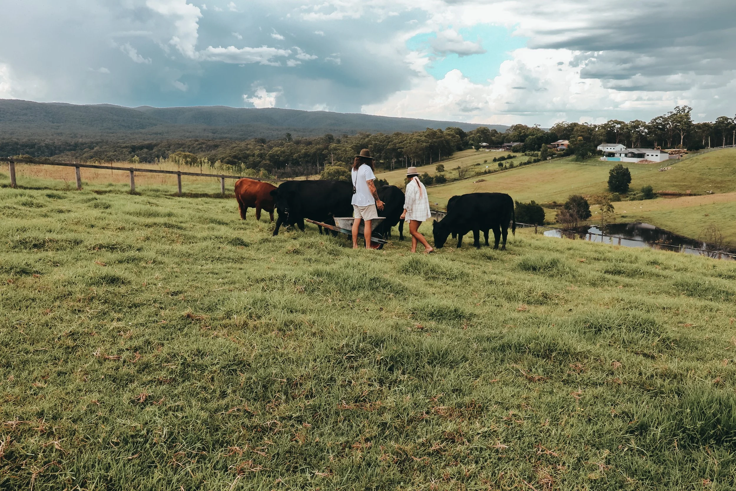 Tiny Home Big Views, Kurrajong — The Doozy Nomads