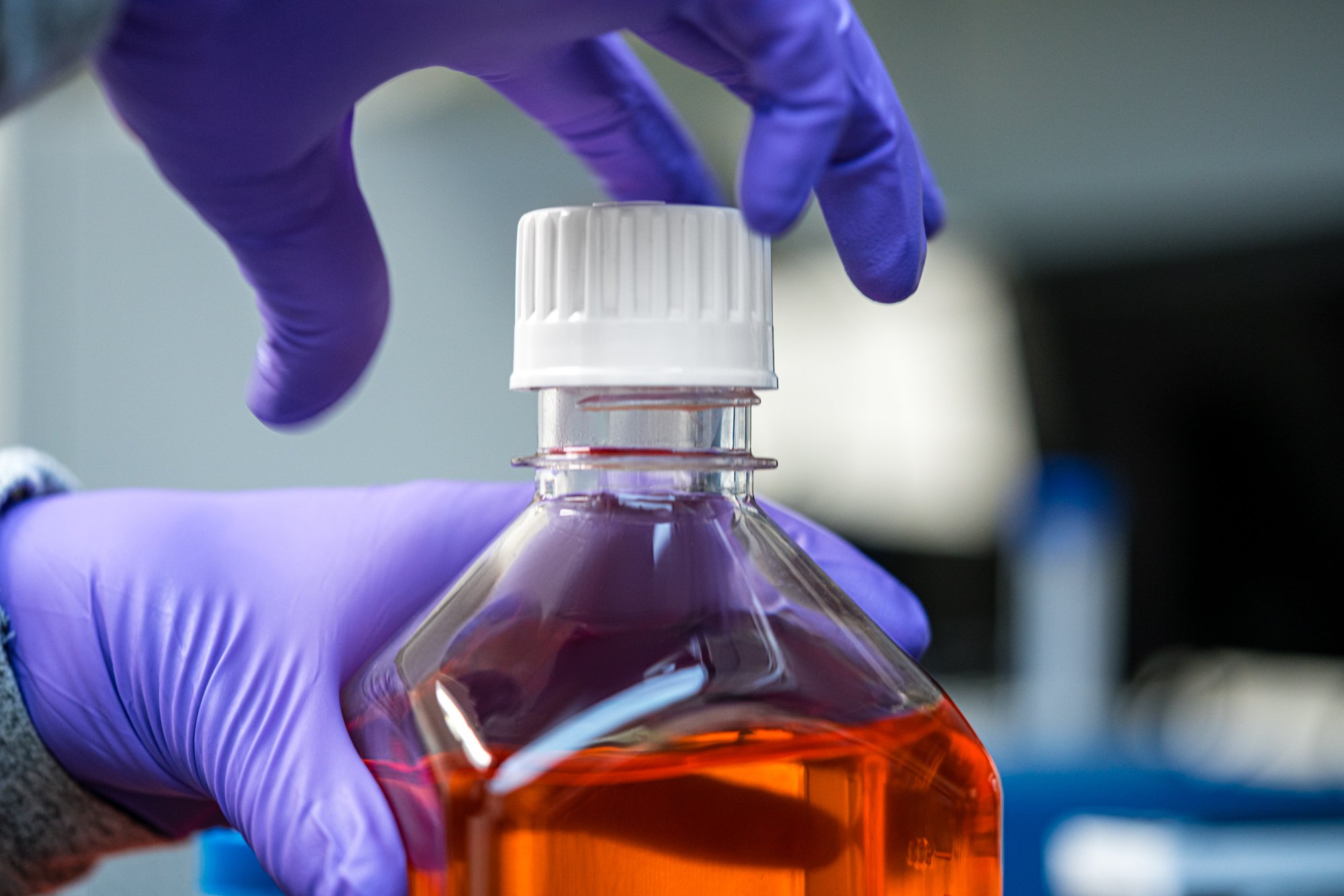Person wearing purple gloves handling a bottle with orange liquid