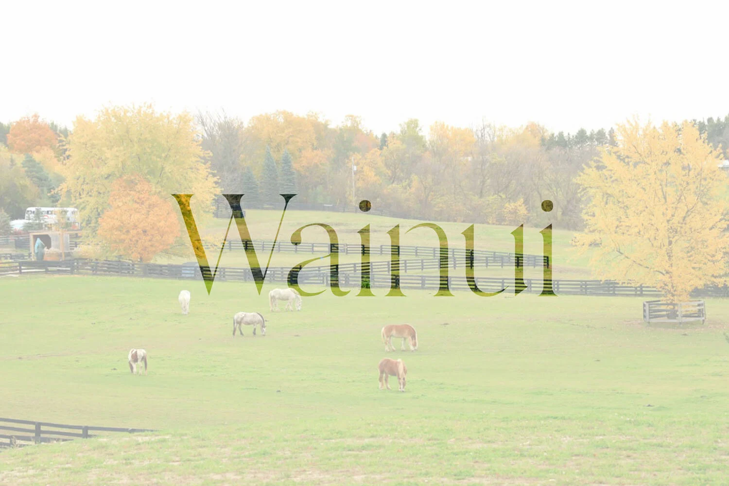 Wainui / Waitoki — Quest Real Estate