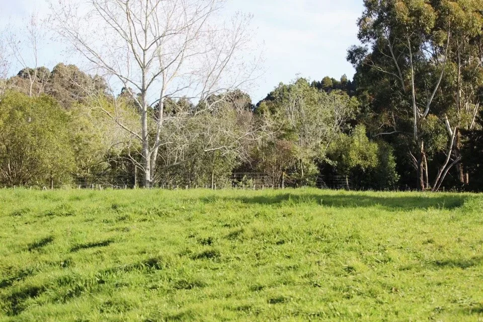 Wainui Now Sold! — Quest Real Estate