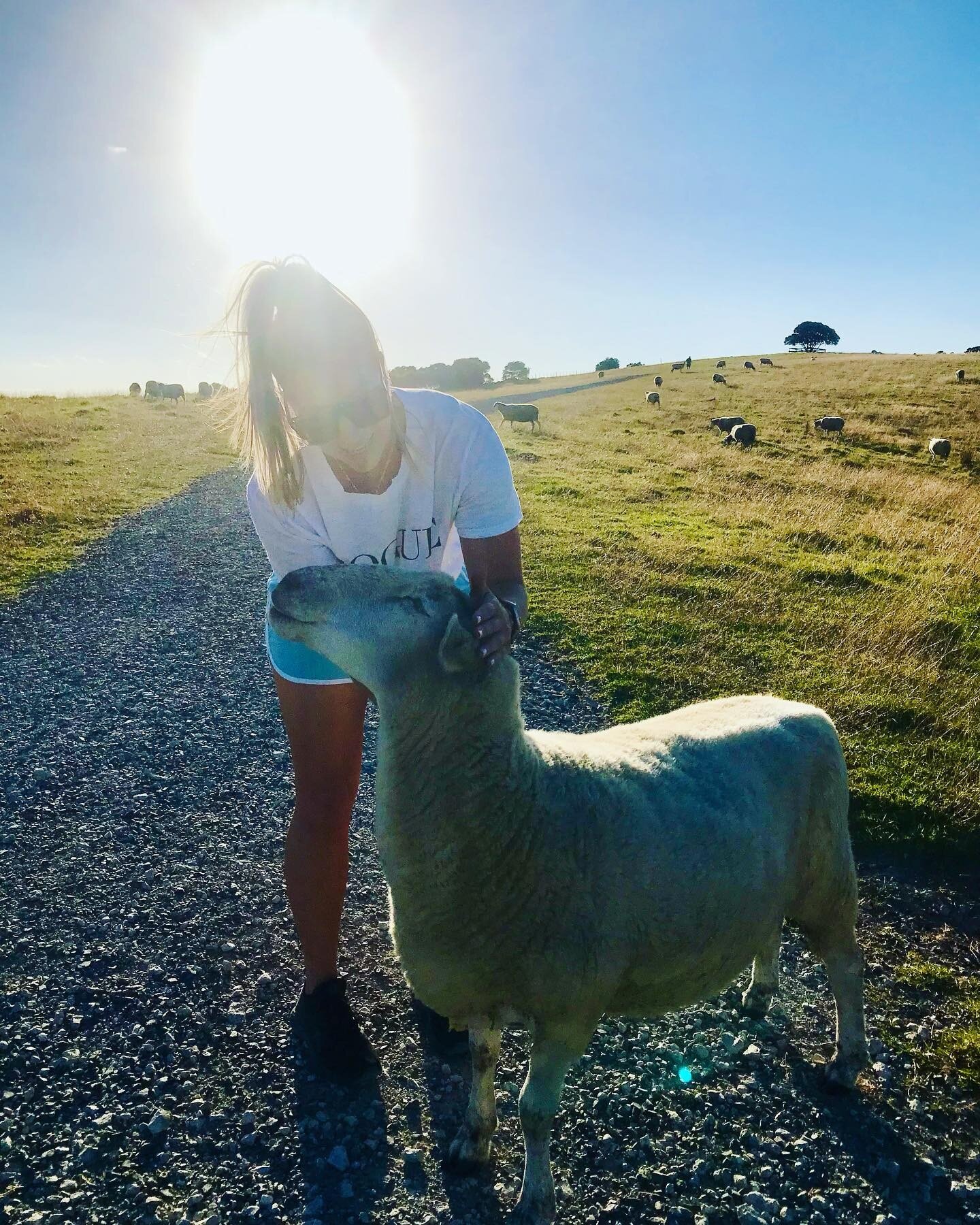 Hey handsome 😉🐏

While out getting my steps in early yesterday morning, this gorgeous guy approached me for a snuggle. 🤍

Look at the smile on his face ☺️ I didn&rsquo;t want to leave him!