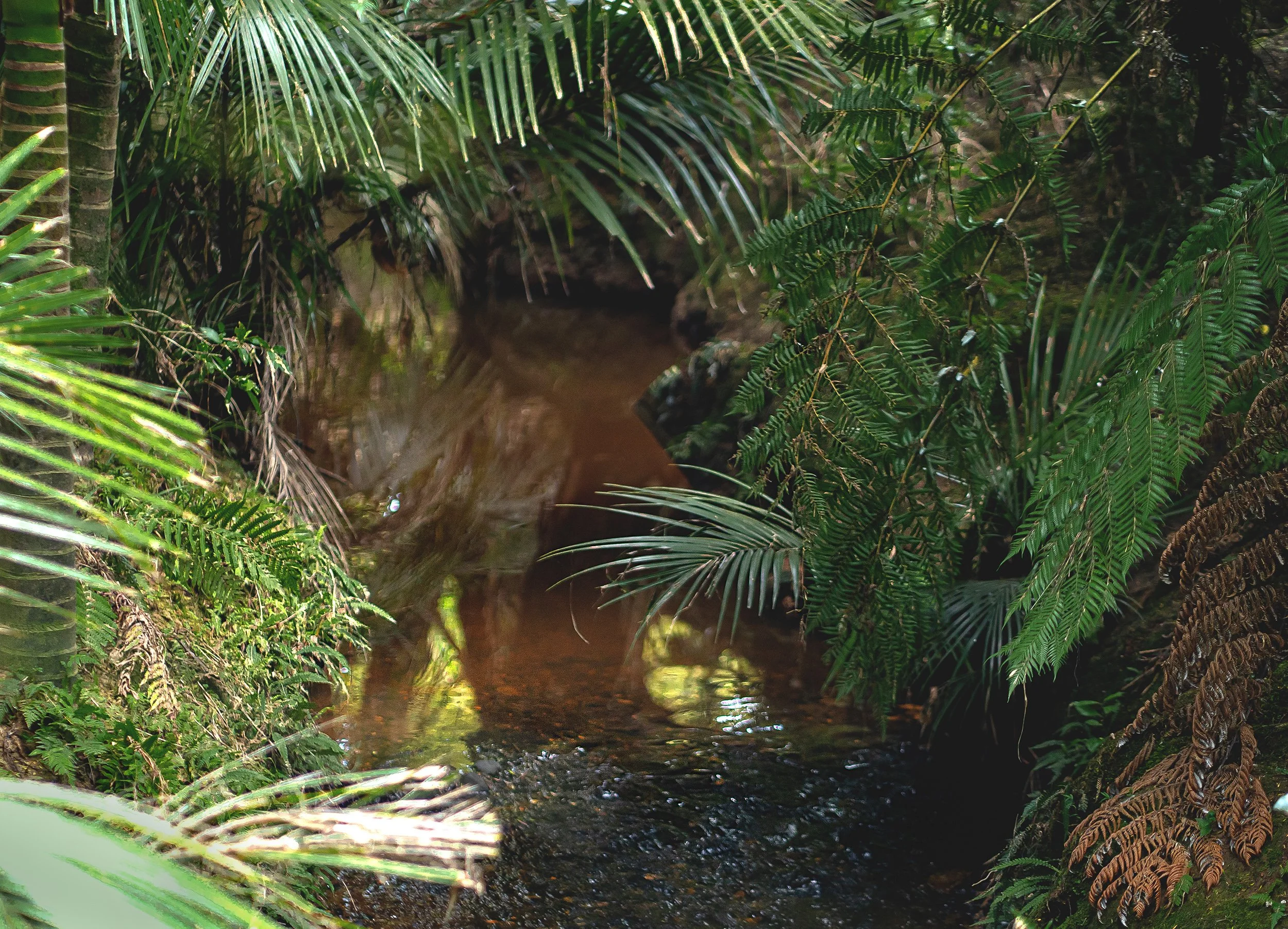 Meadow View Now Sold — Quest Real Estate