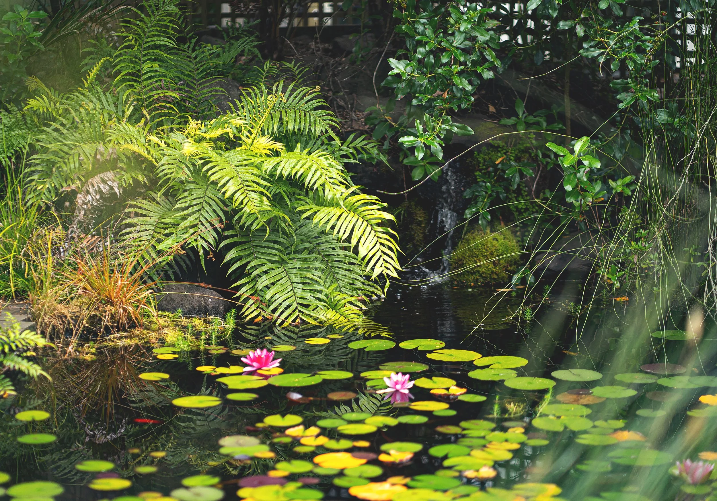 Meadow View Now Sold — Quest Real Estate