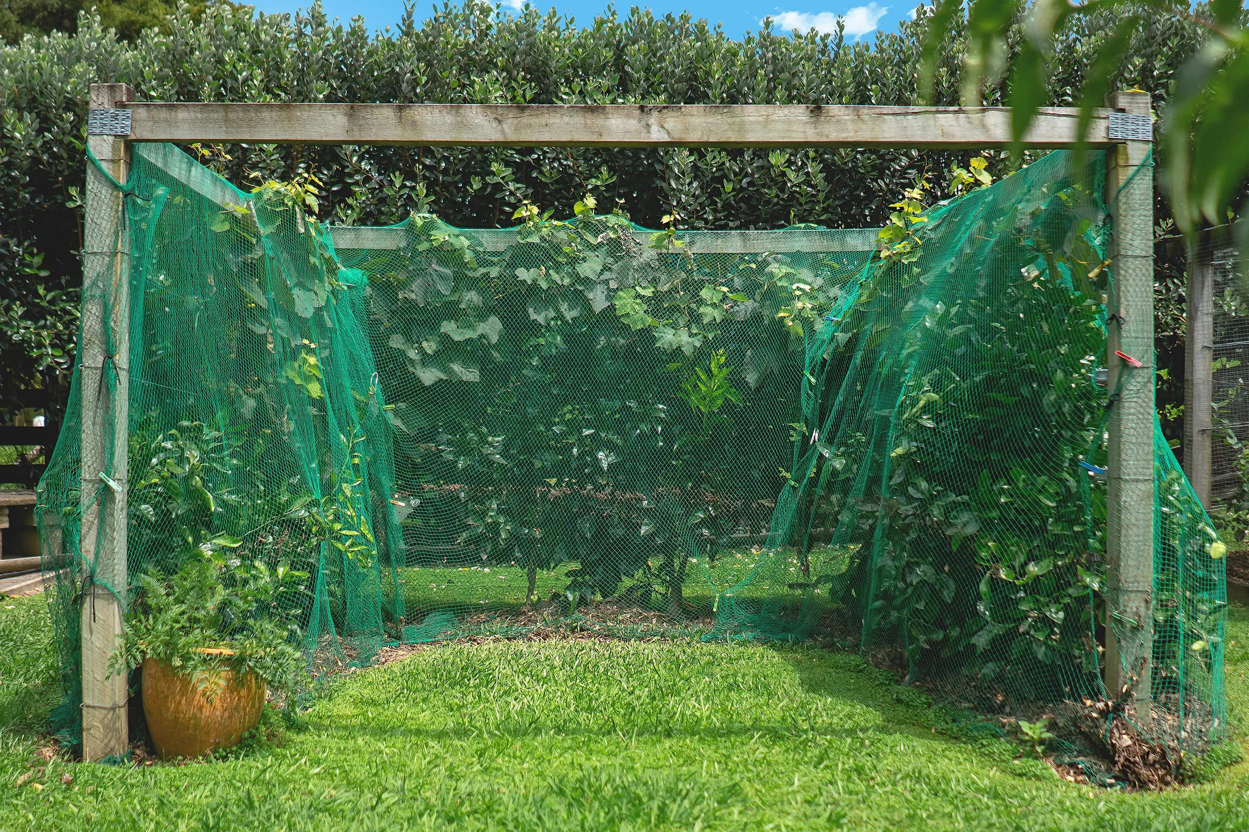 Meadow View Now Sold — Quest Real Estate