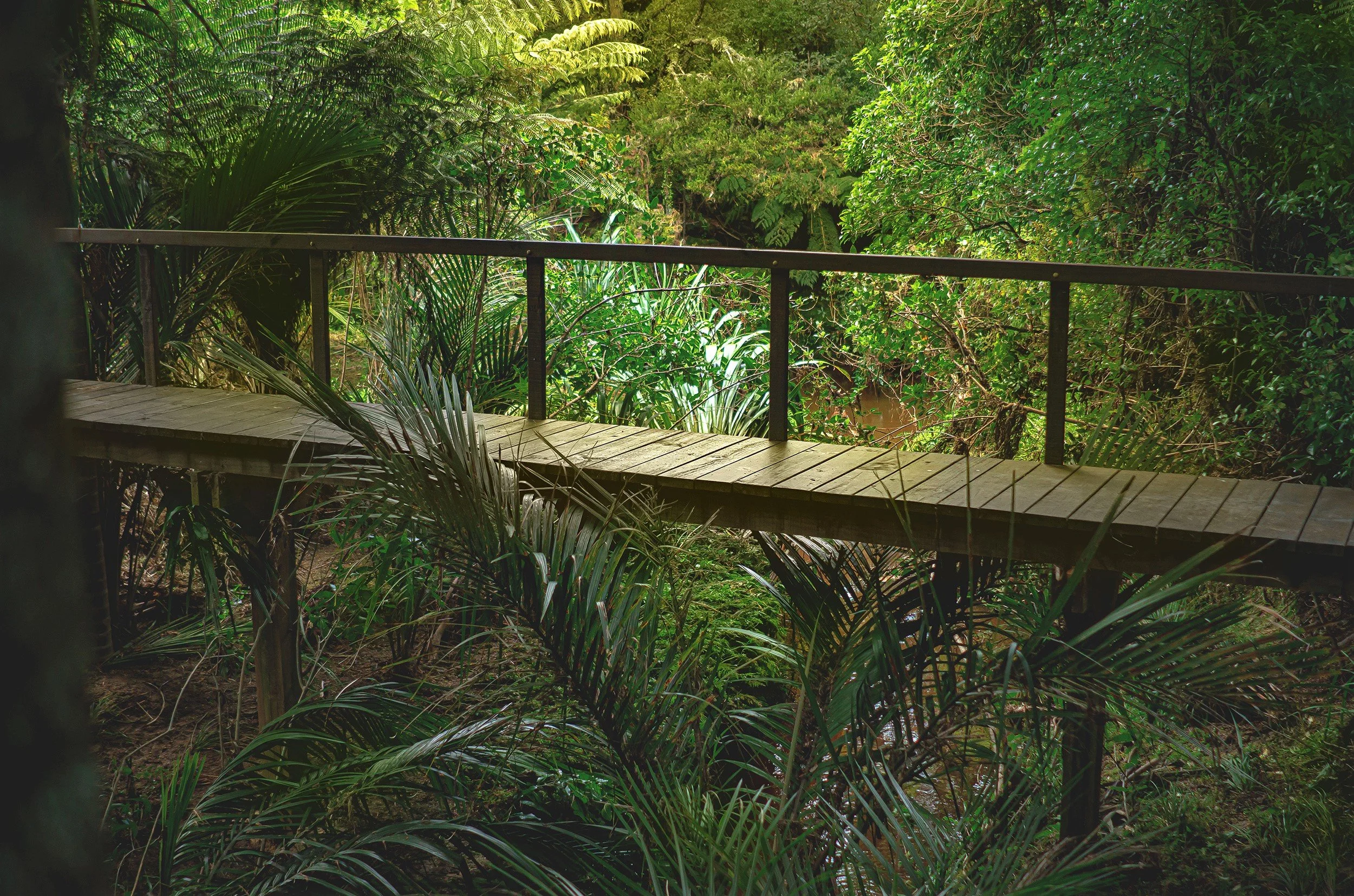 Meadow View Now Sold — Quest Real Estate