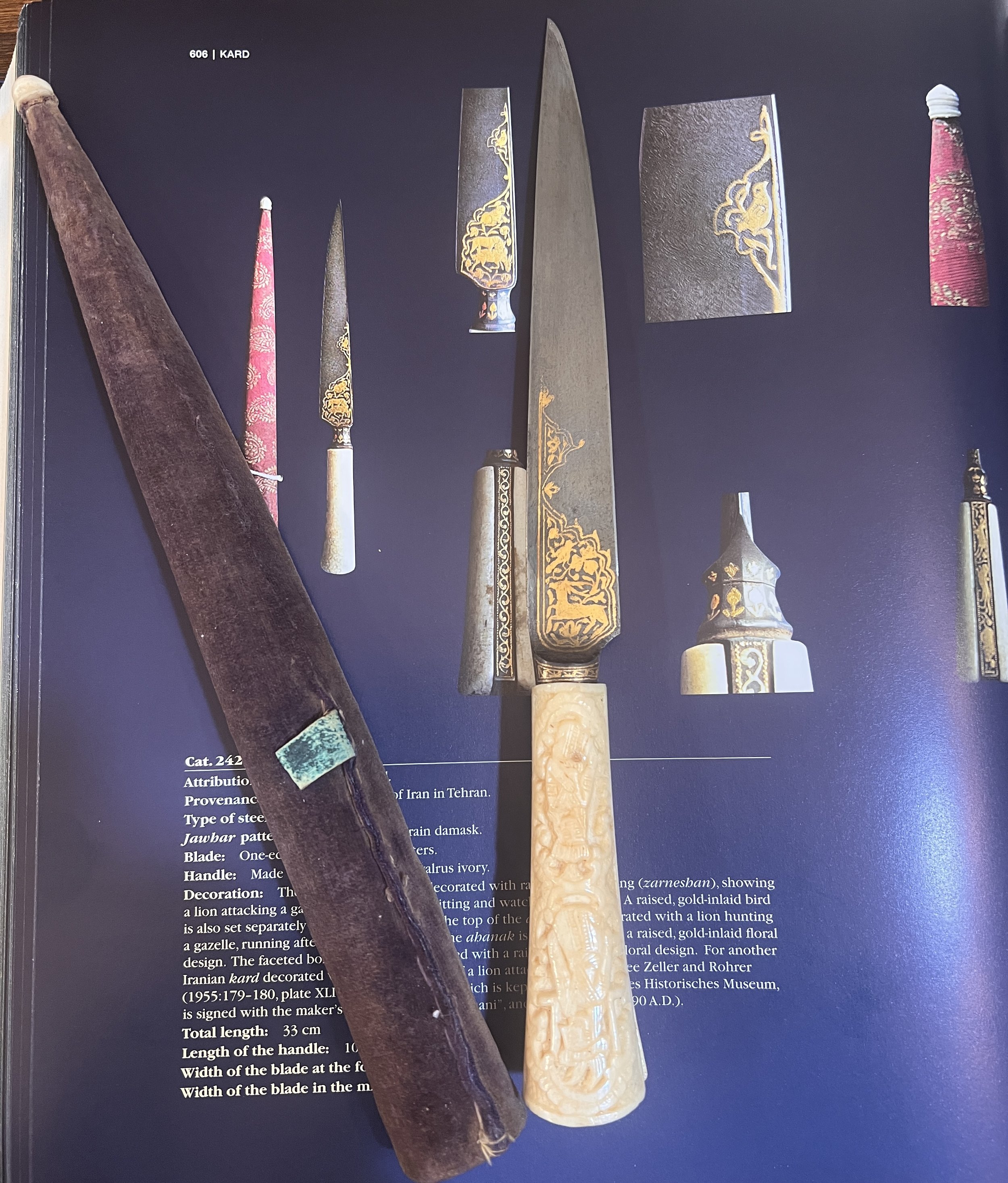 IMG_3545.jpeg
