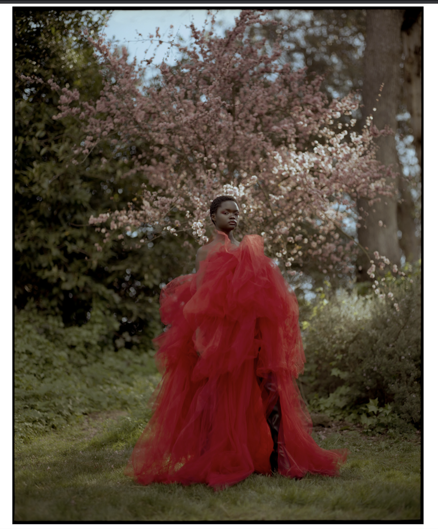 photo by anna @anna_linetskaya

