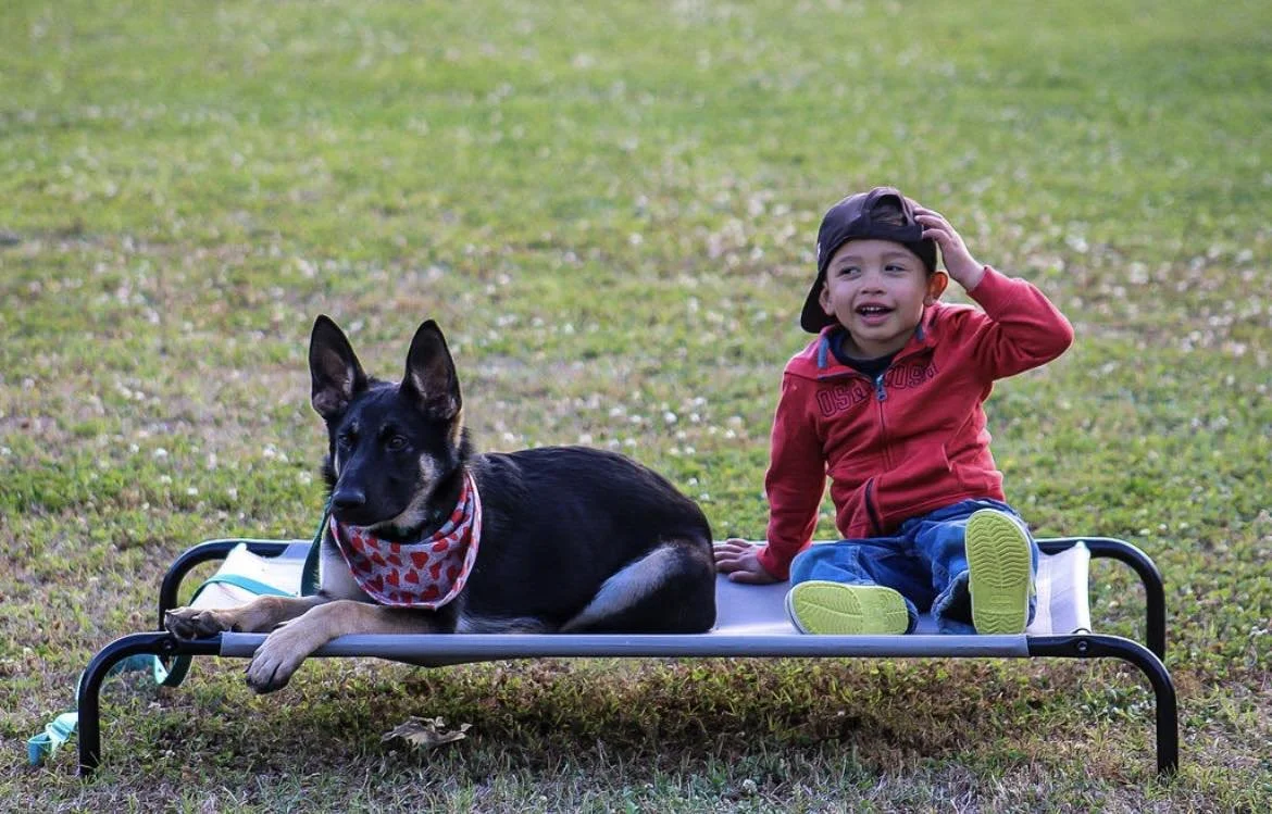 A young boy sitting on a cot outdoors with a black and tan dog, both looking relaxed.