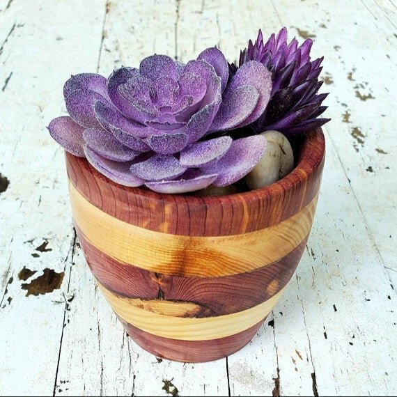 https://i.etsystatic.com/12301079/r/il/bd9a77/2571026733/il_570xN.2571026733_asaj.jpg